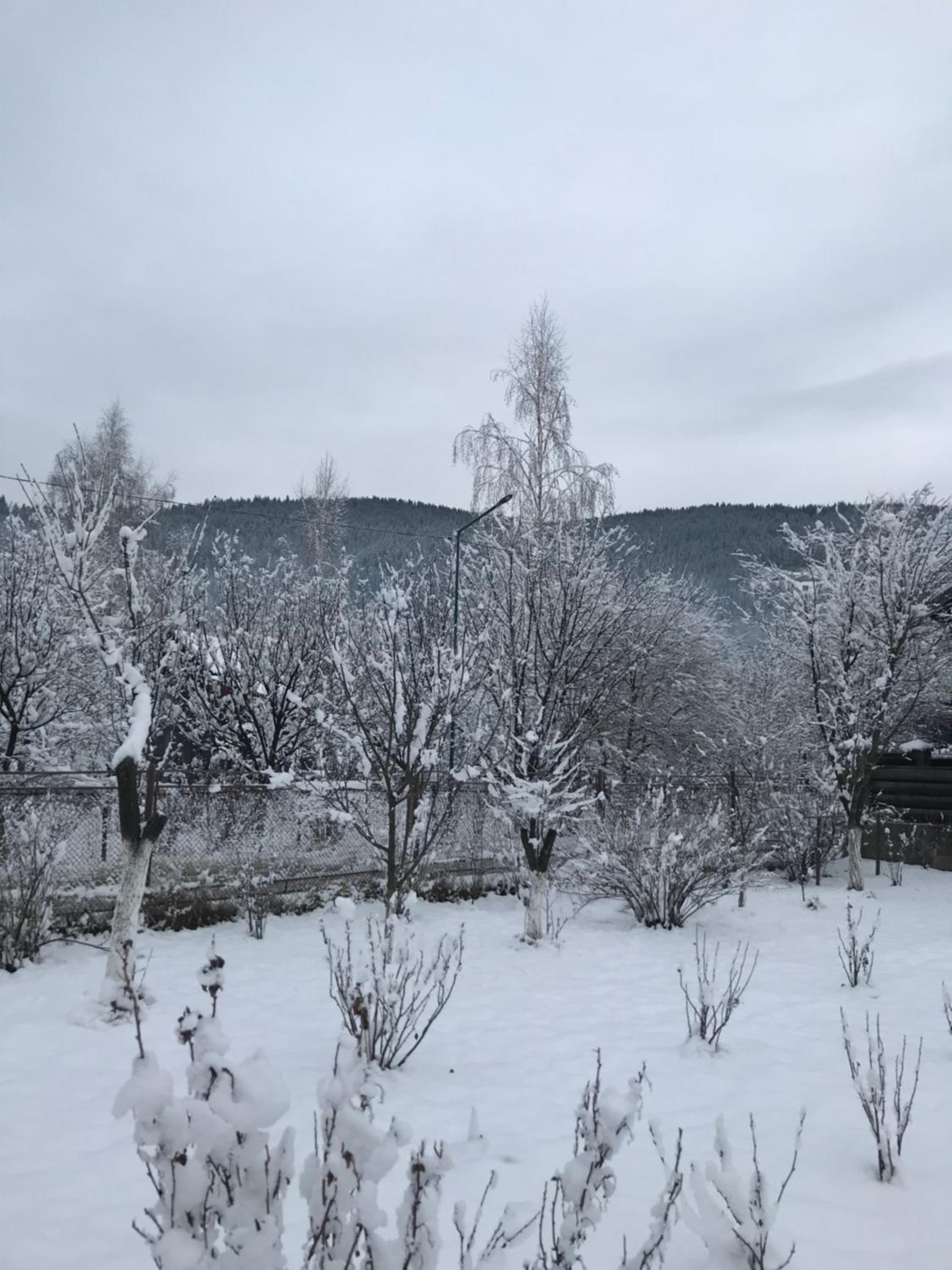 Відпочинок у Верховині, fotografía 2
