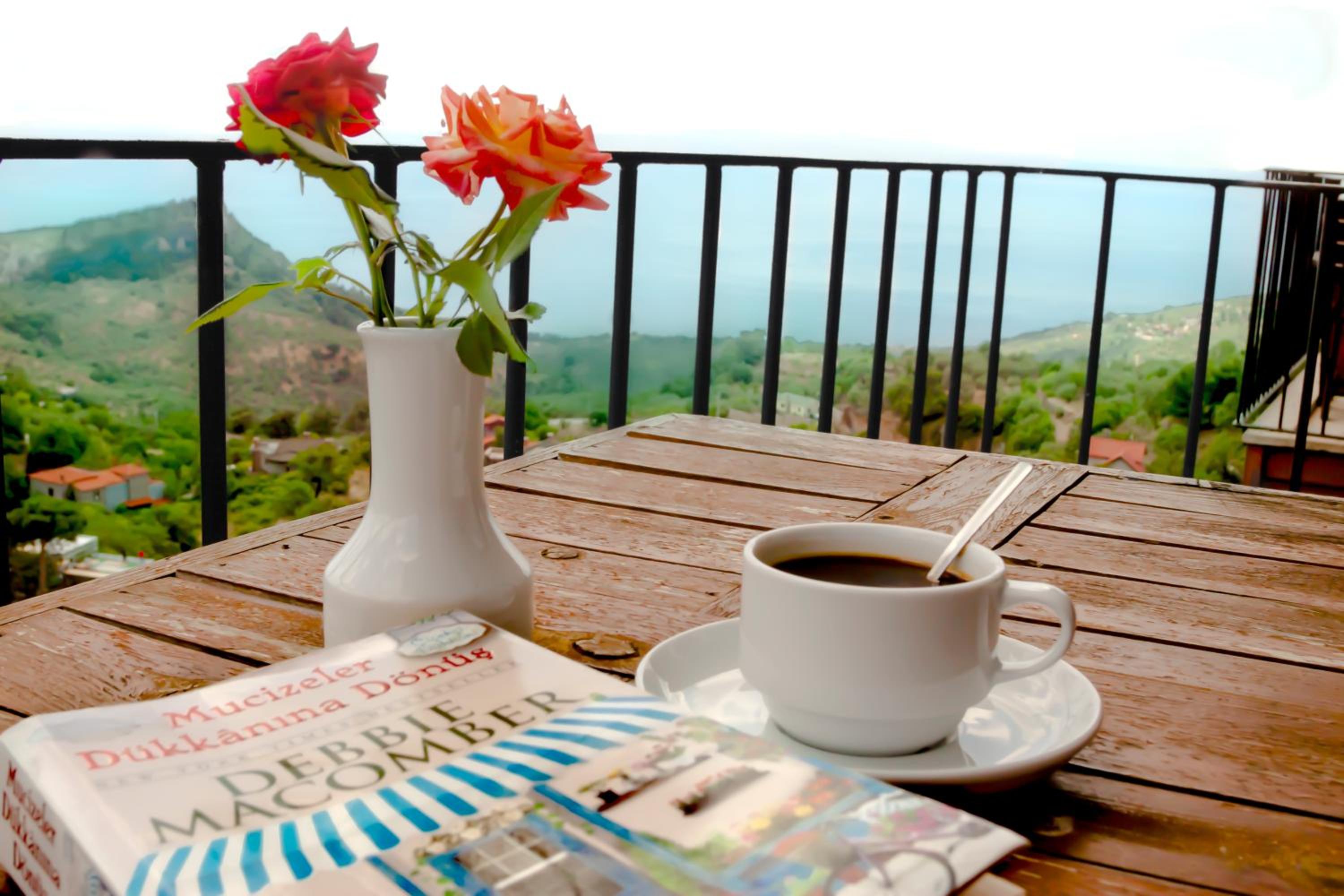 Assos Kayalar Terrace