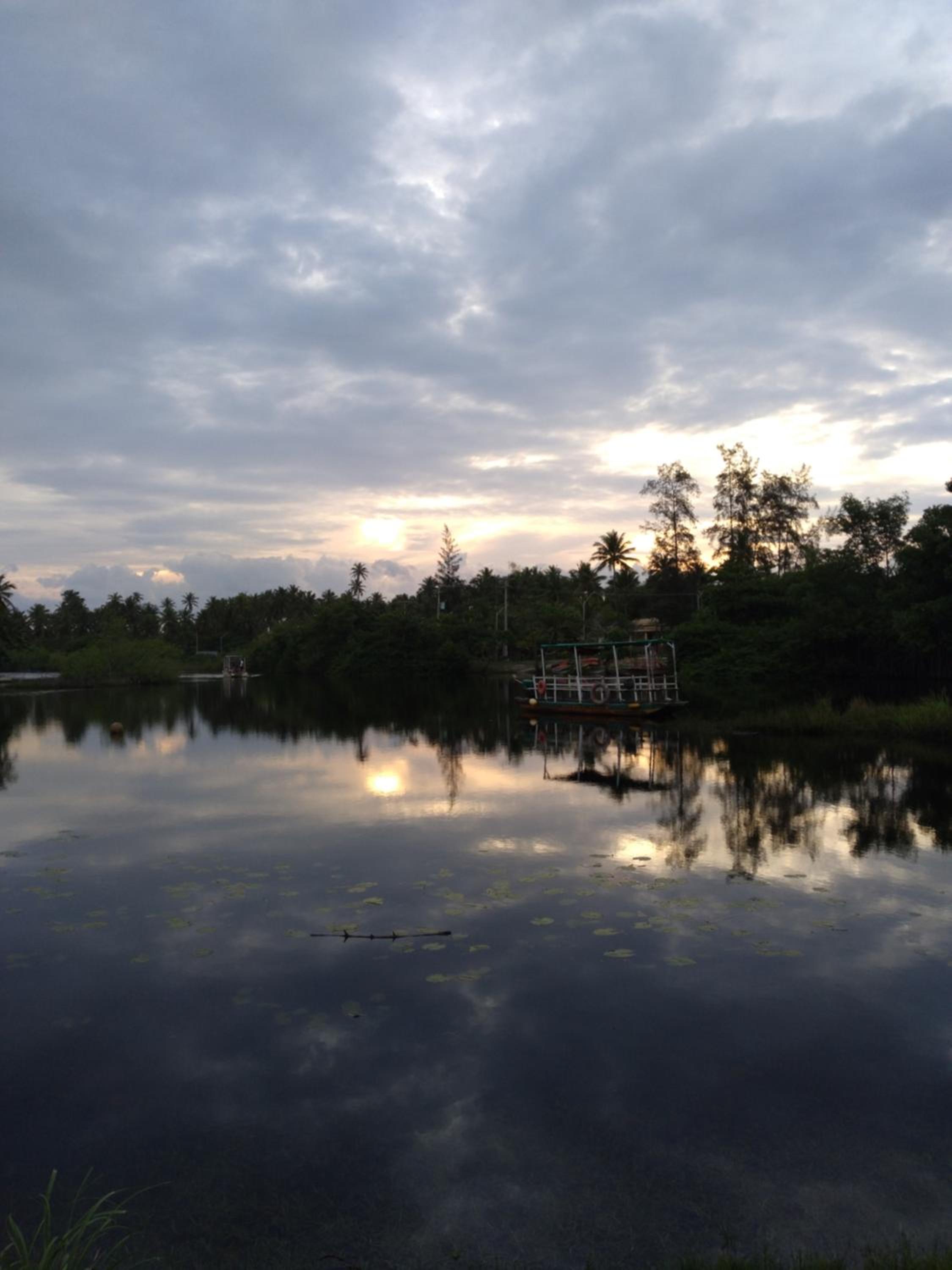 Photo 46