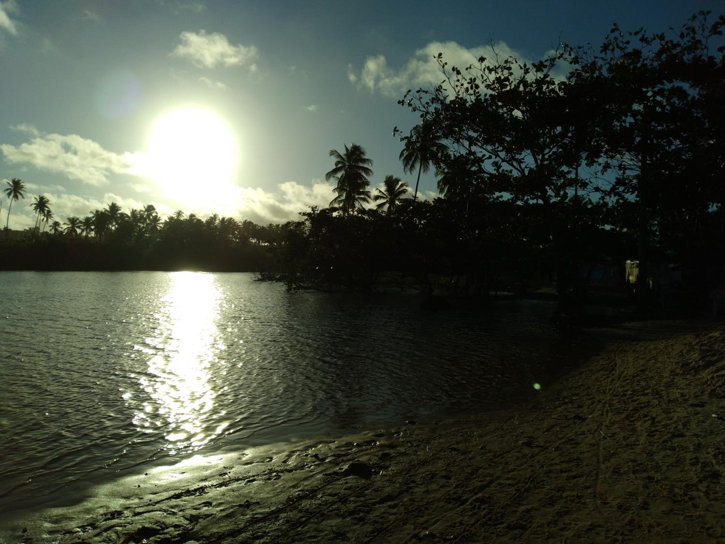 Photo 47