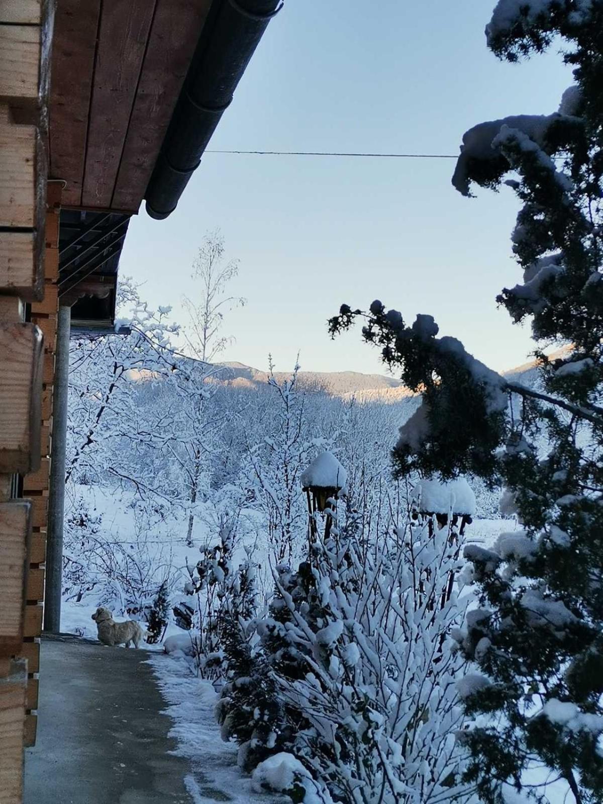 Zaviy view 2