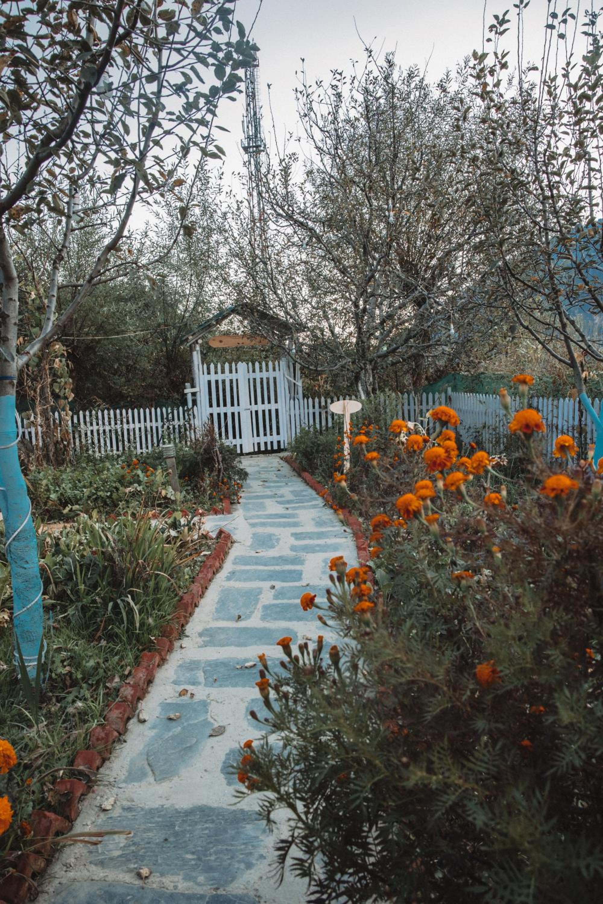 Enthralling Escapes Nature Stay and Trek view 5