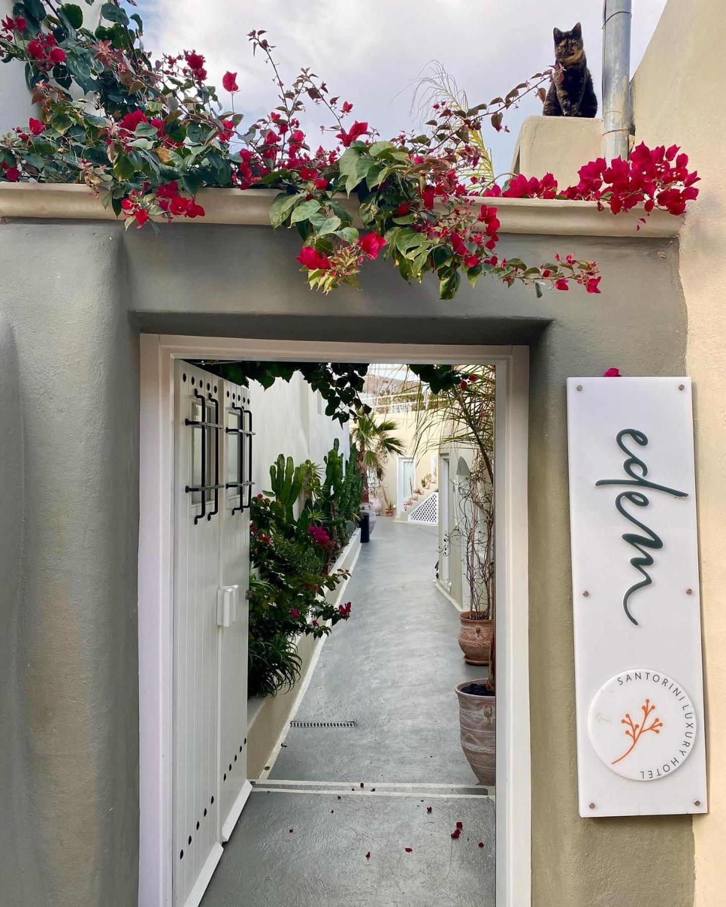 Hotel Edem Boutique Hotel - Image 1