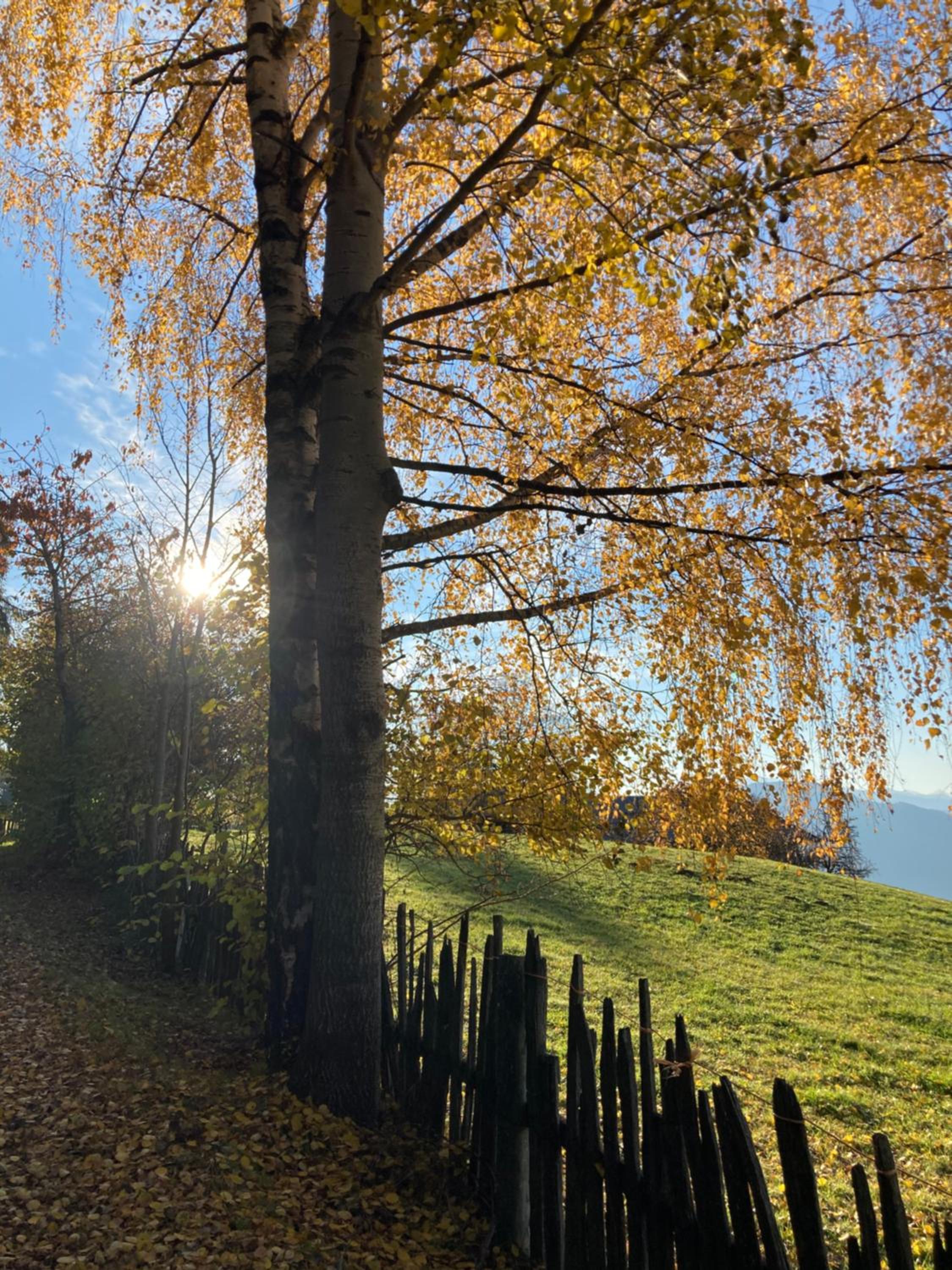 Rempphof view 4