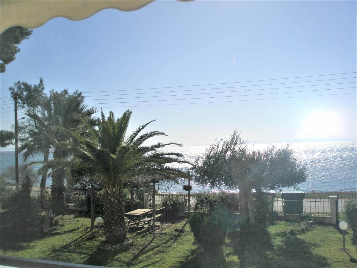 Metamorphosis - Halkidiki Apartment on the beach view 4