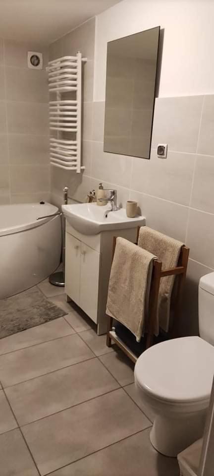 Apartament w malowniczej Sosnówce view 2