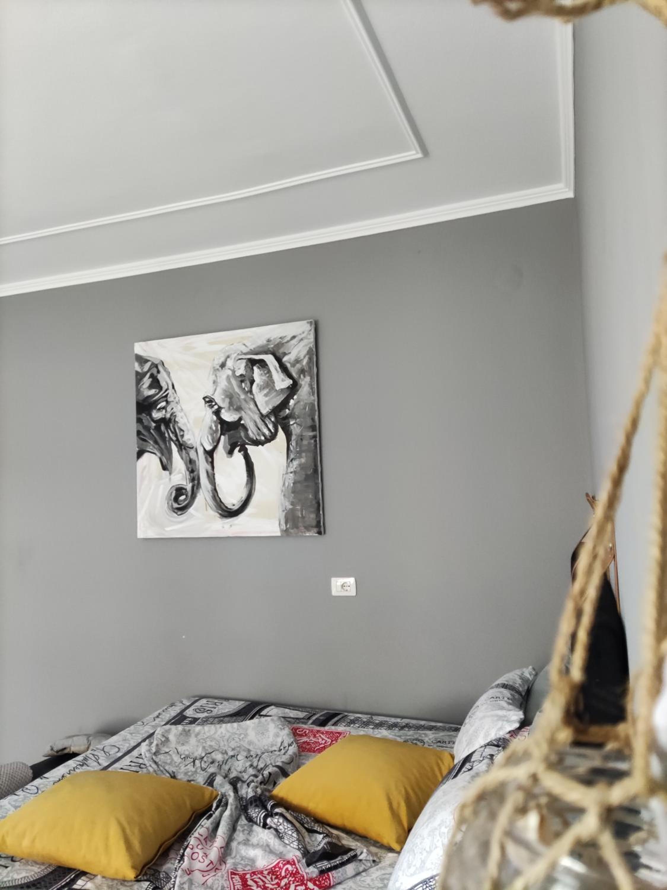 Koa Studio 1