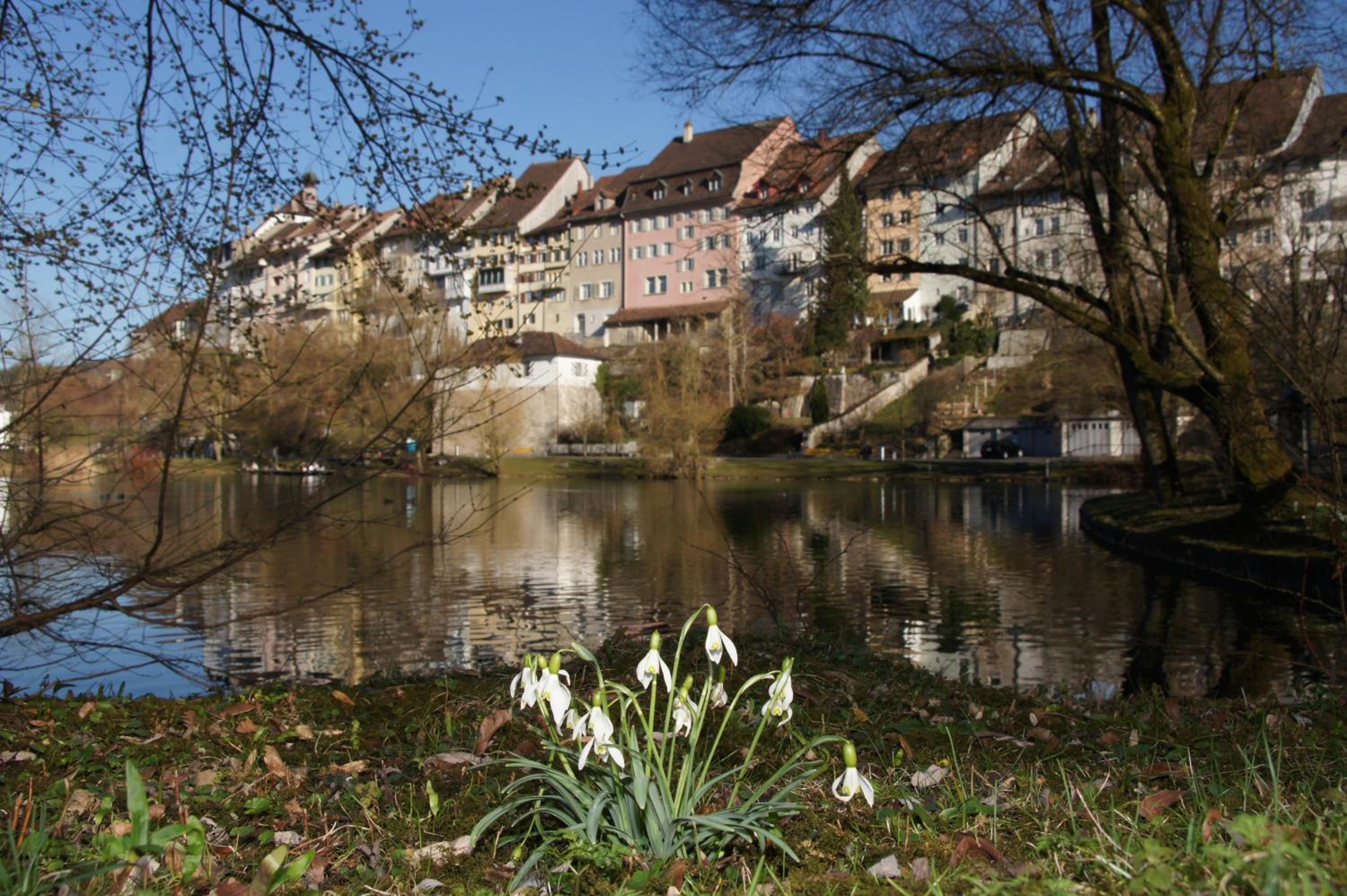 Bett am Weiher