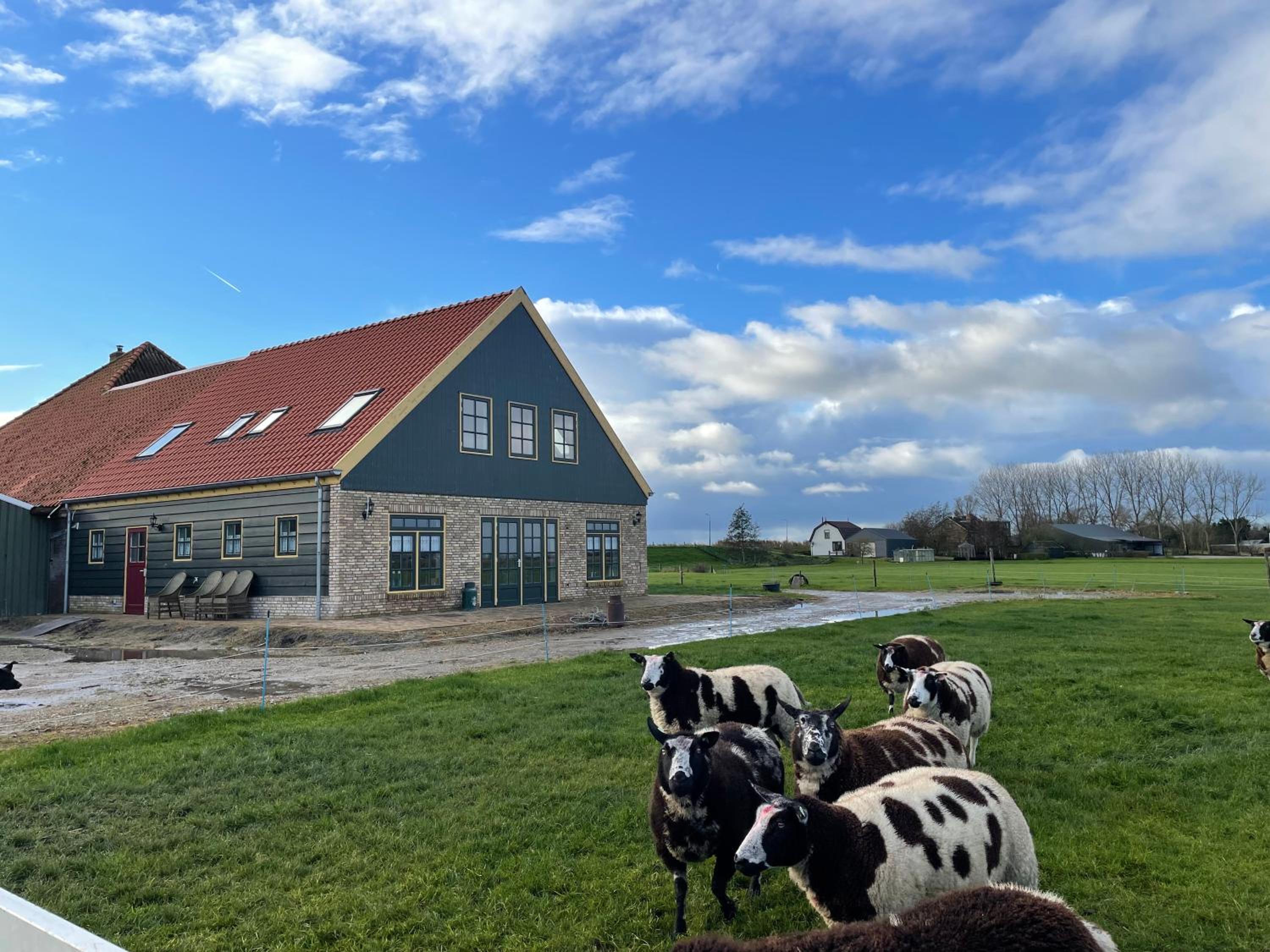 De Martha Hoeve view 4