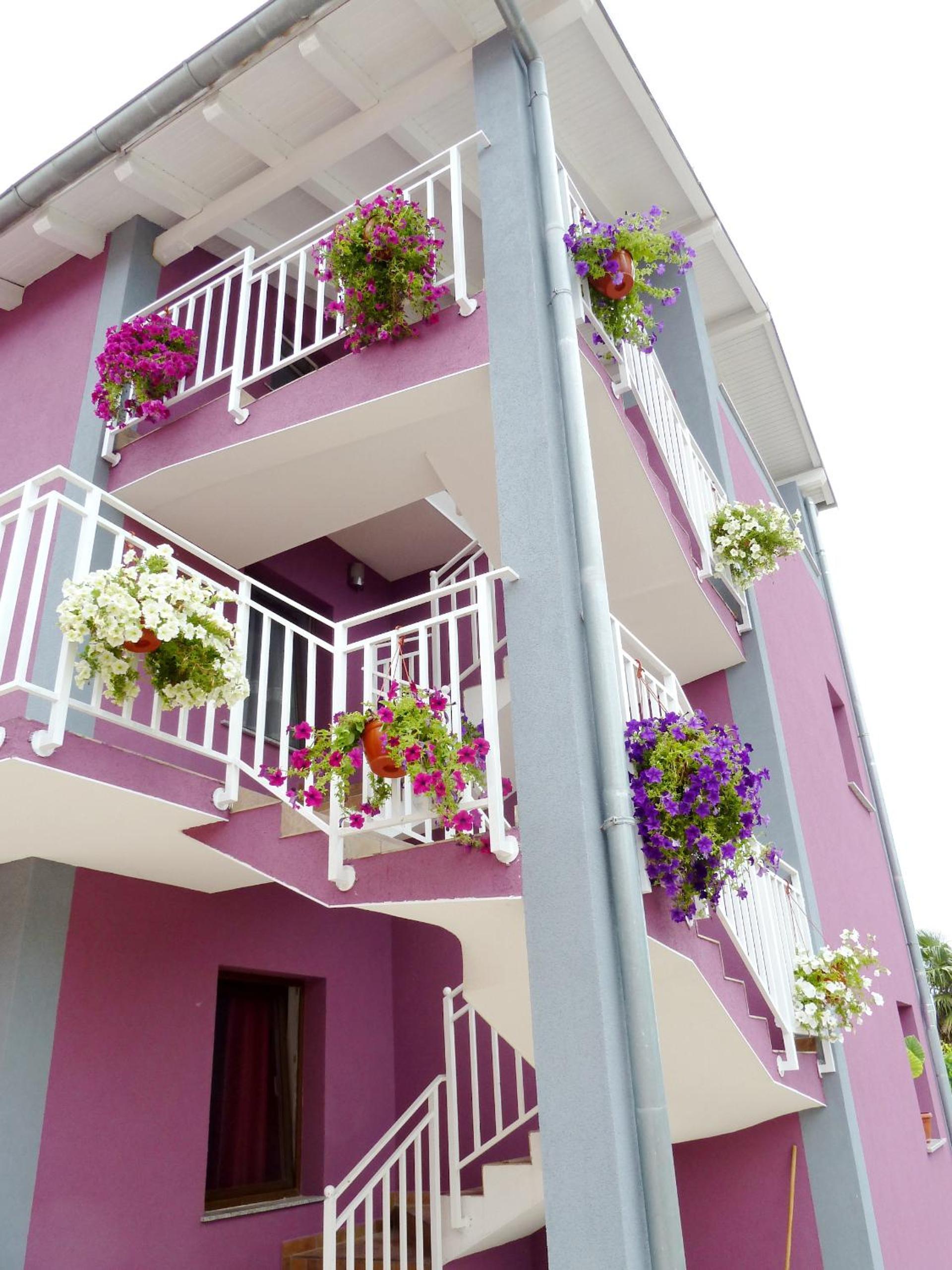 Apartments Villa Excellente Belvedere view 3