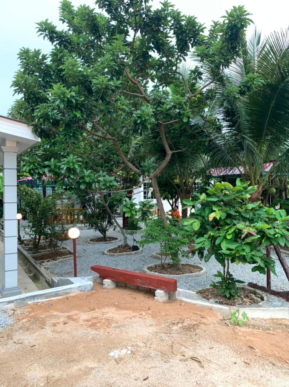 Photo 7