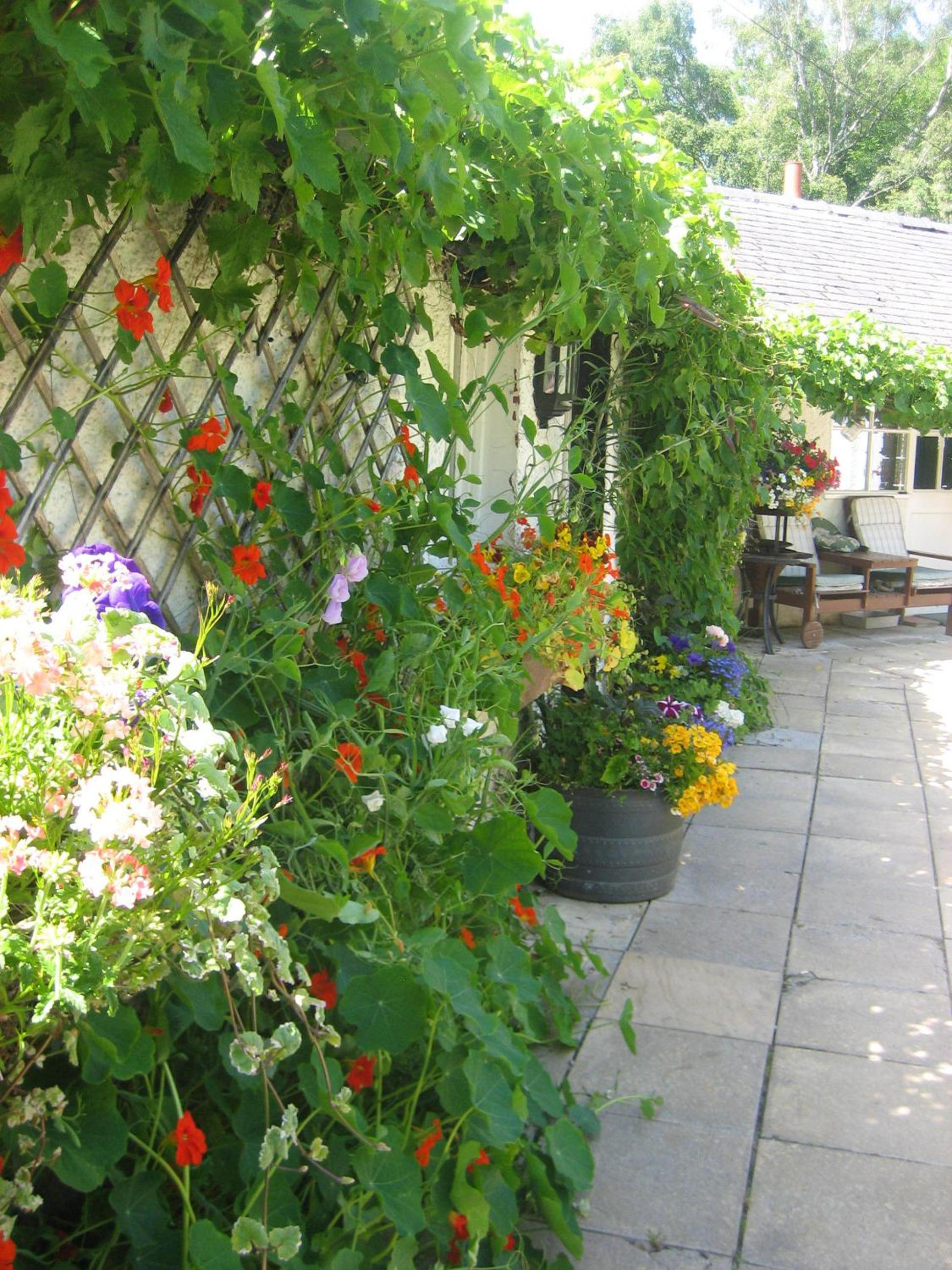 Photo 48