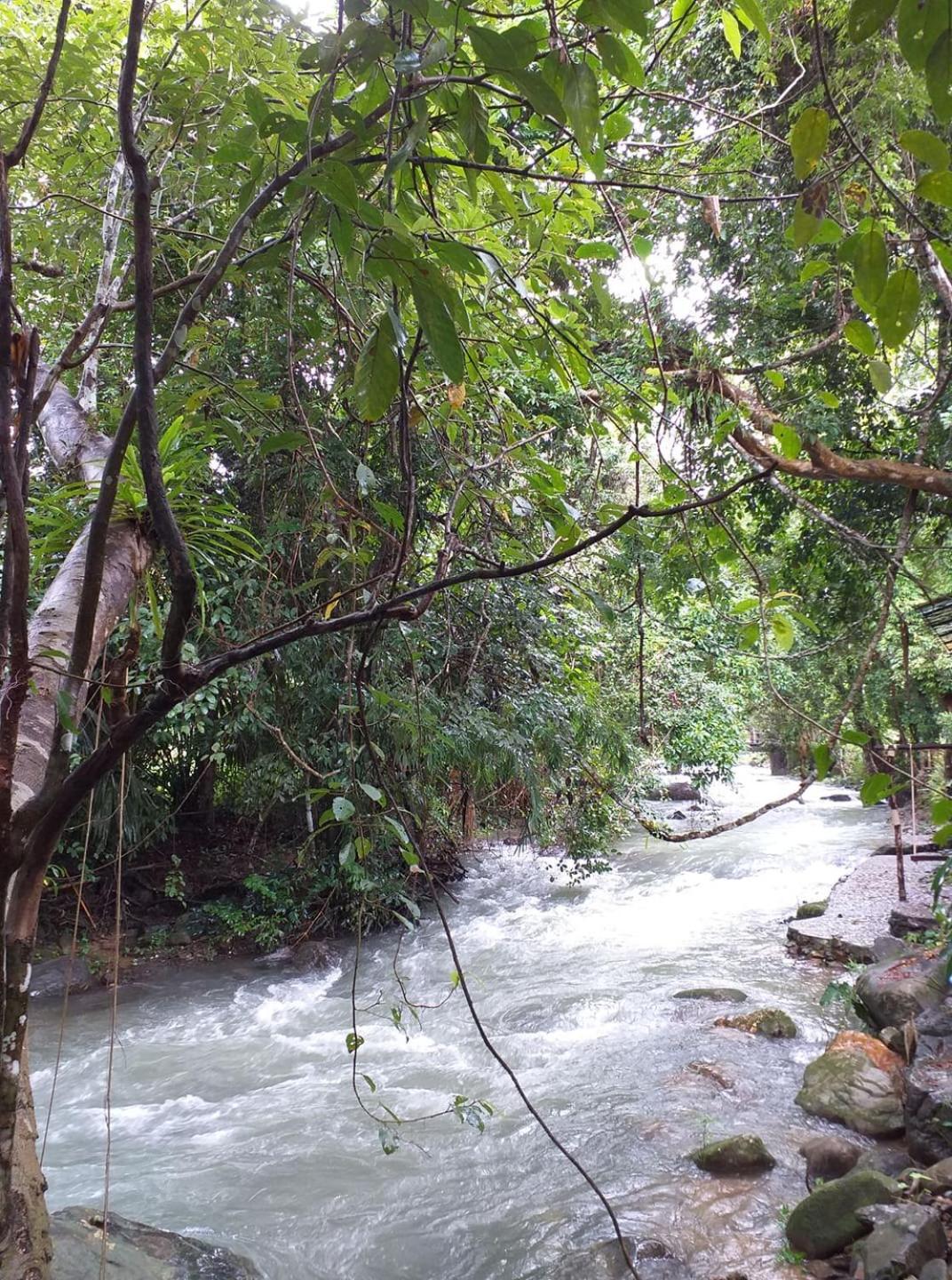 Tree Tops River Huts
