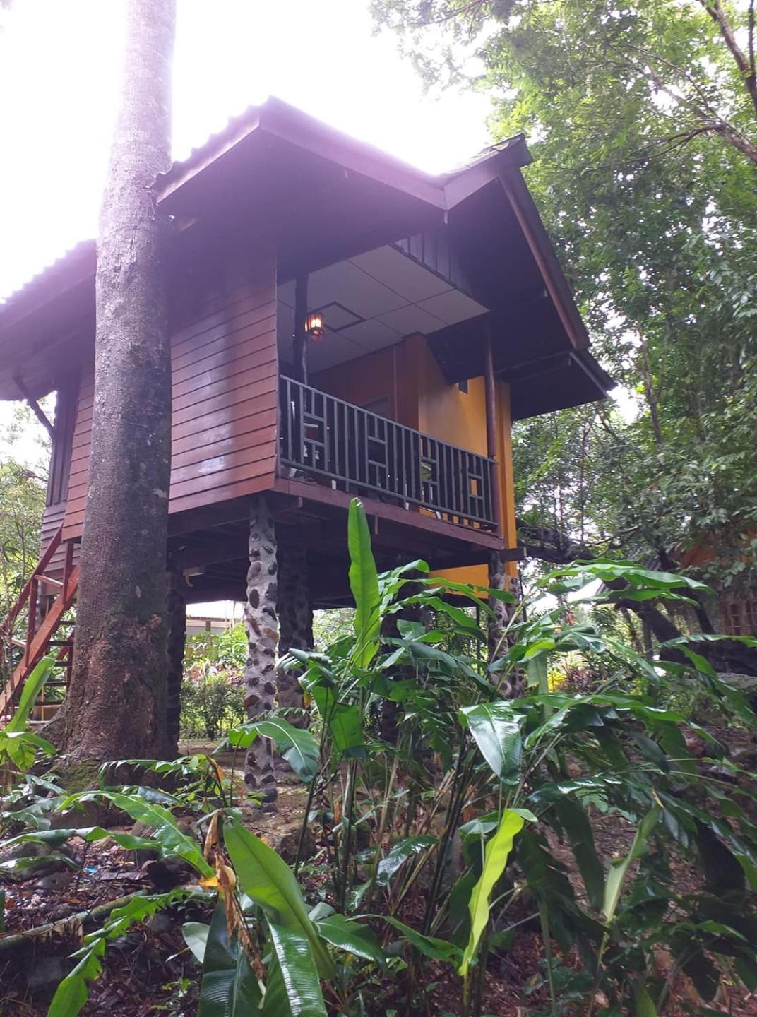 Tree Tops River Huts