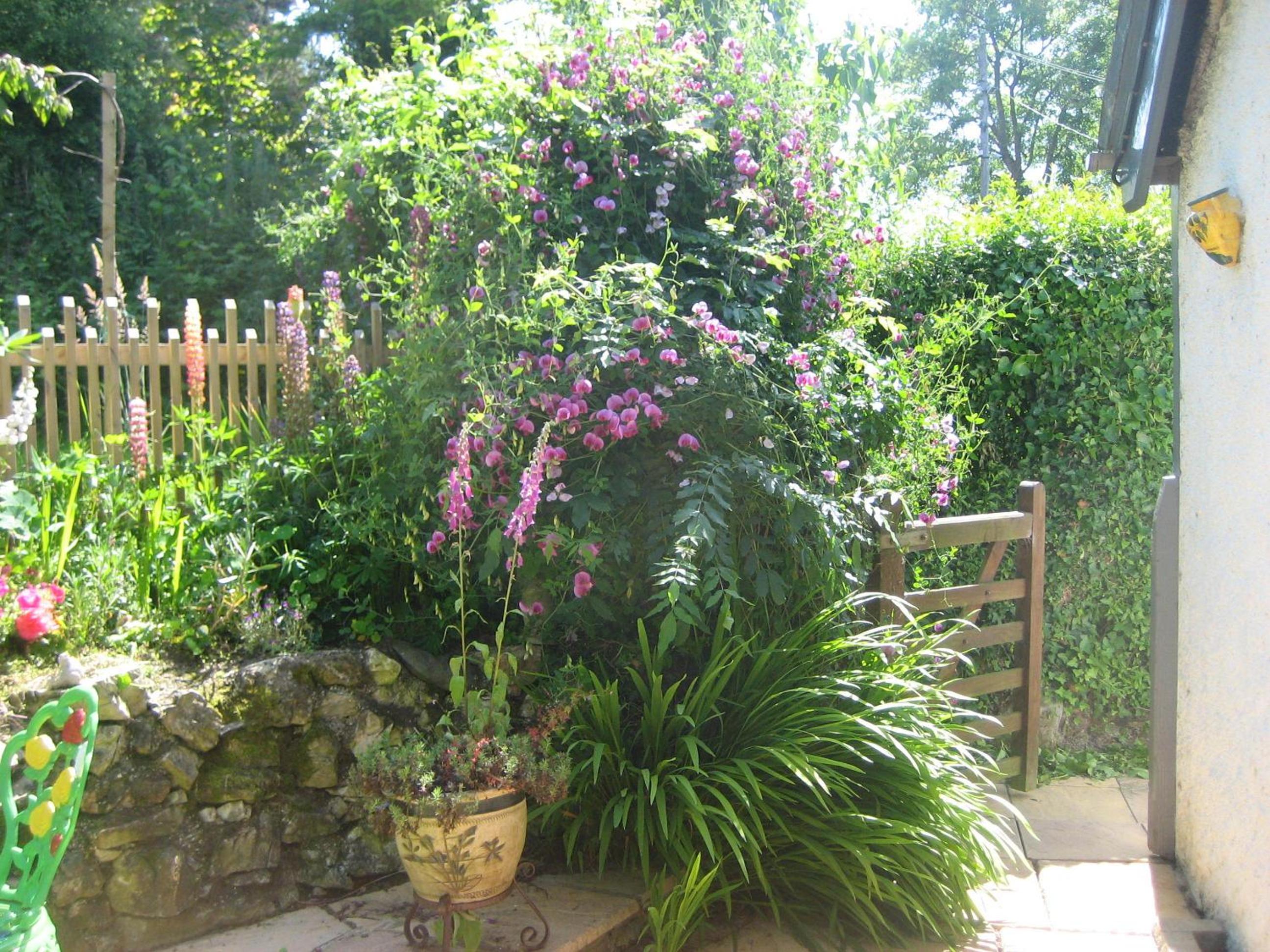 Photo 40