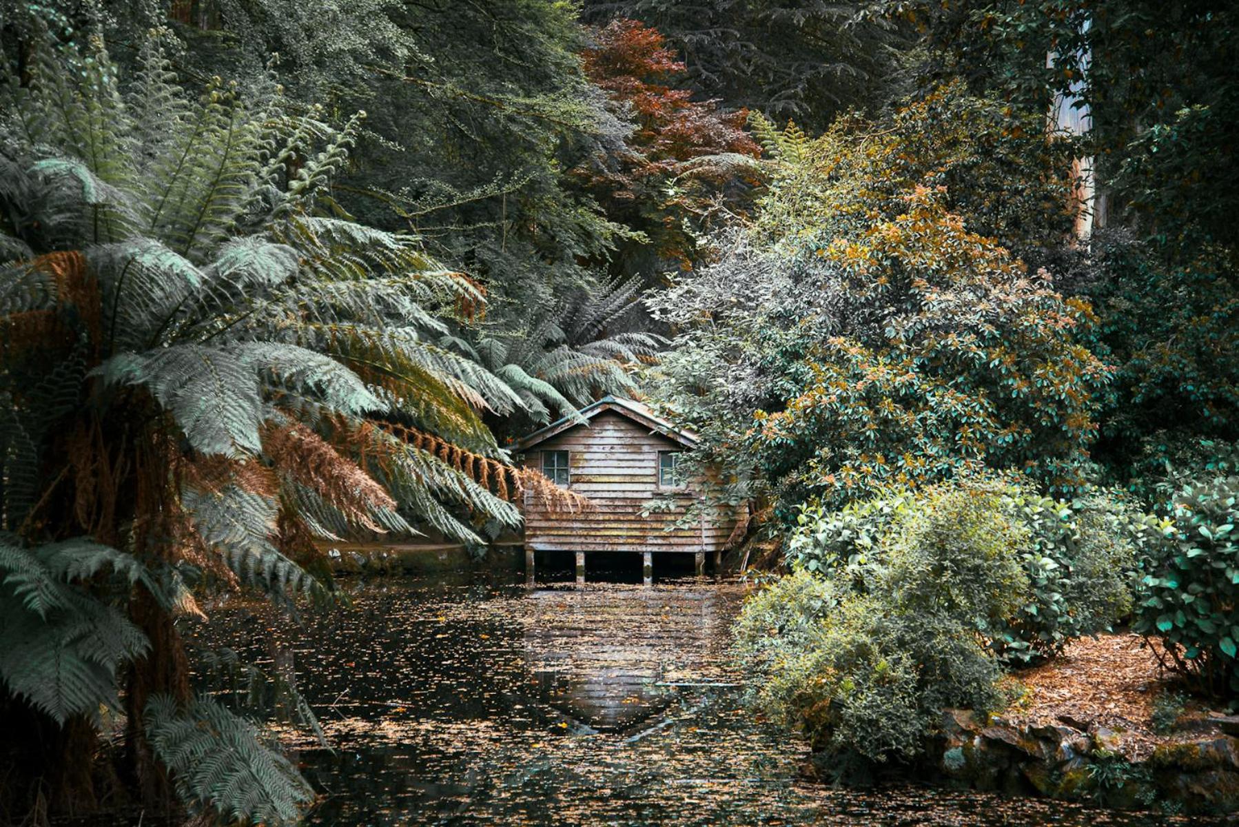 Wild Orchid Olinda Private Luxury Cottage