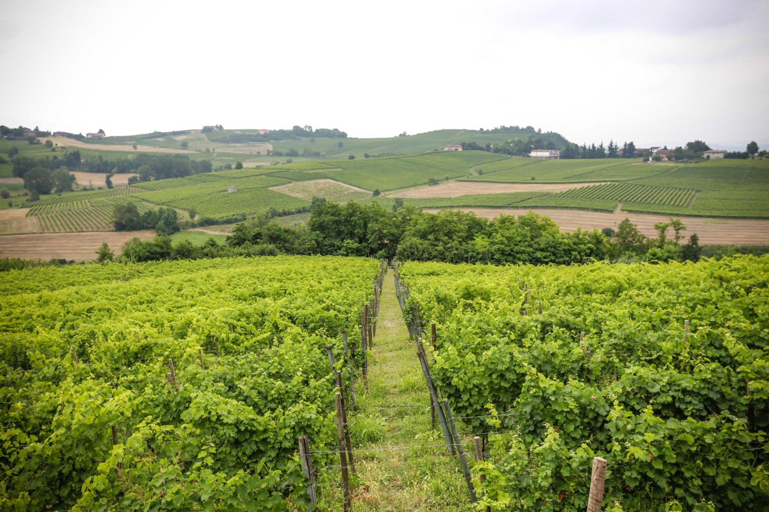 NaturalMente Wine Resort