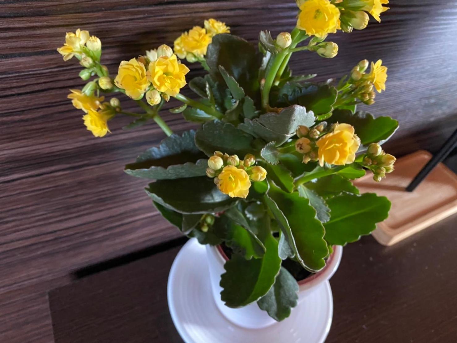 Da Fang Hua Yuan Xiao Homestay