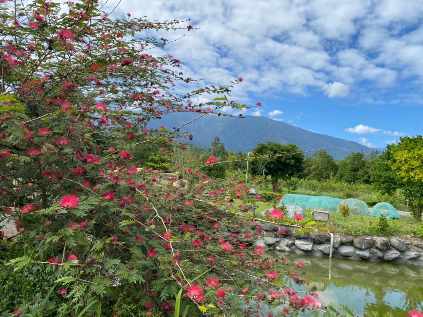Da Fang Hua Yuan Xiao Homestay