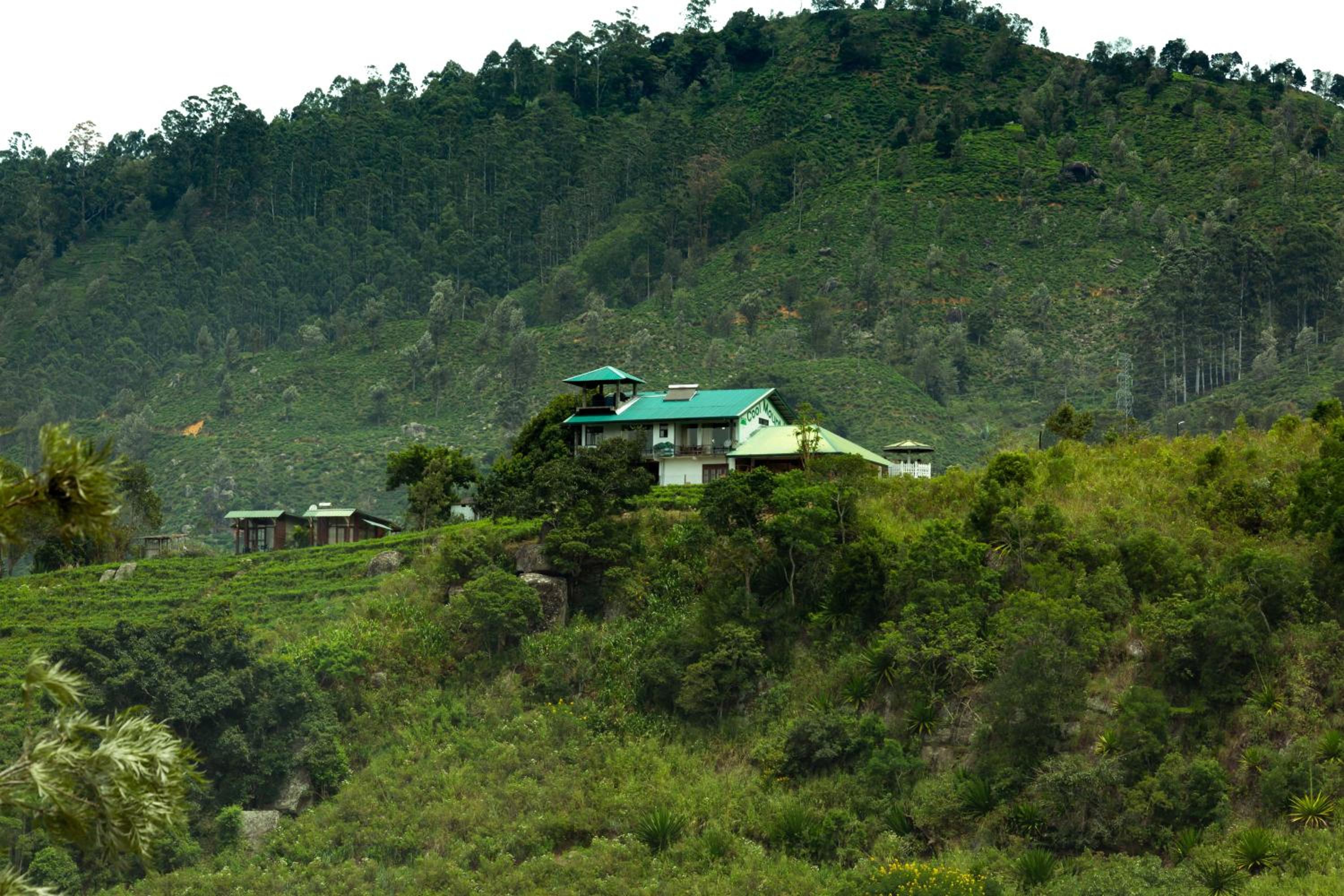 Cool Mount Resort