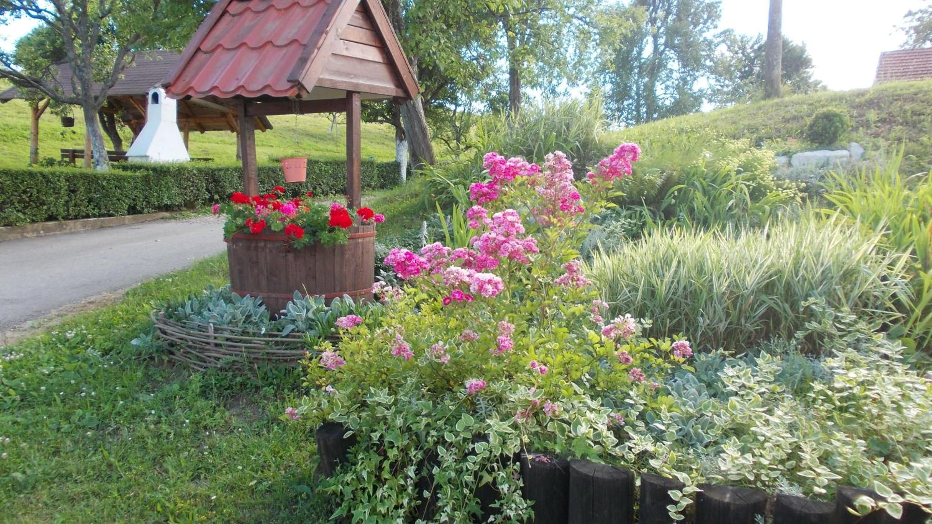 Photo 44