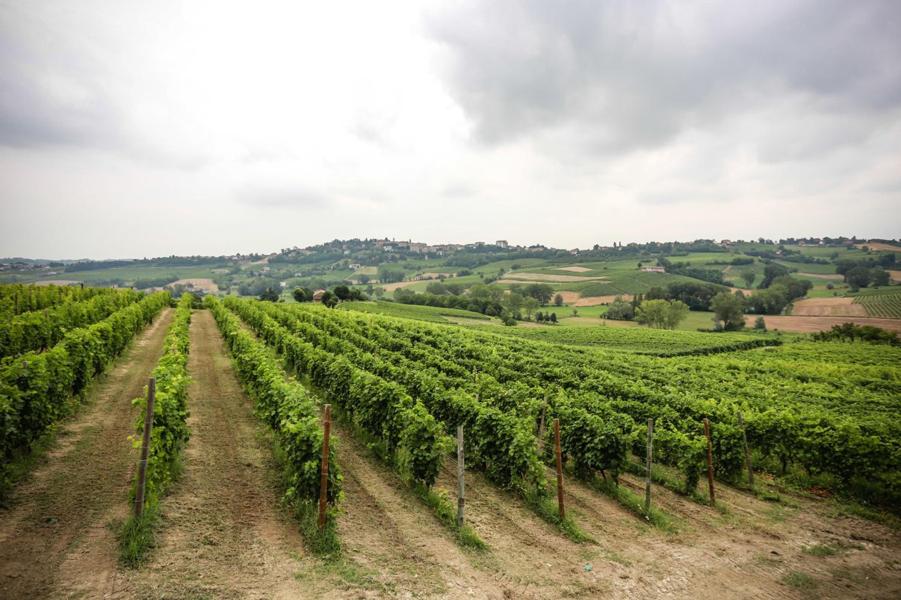 NaturalMente Wine Resort