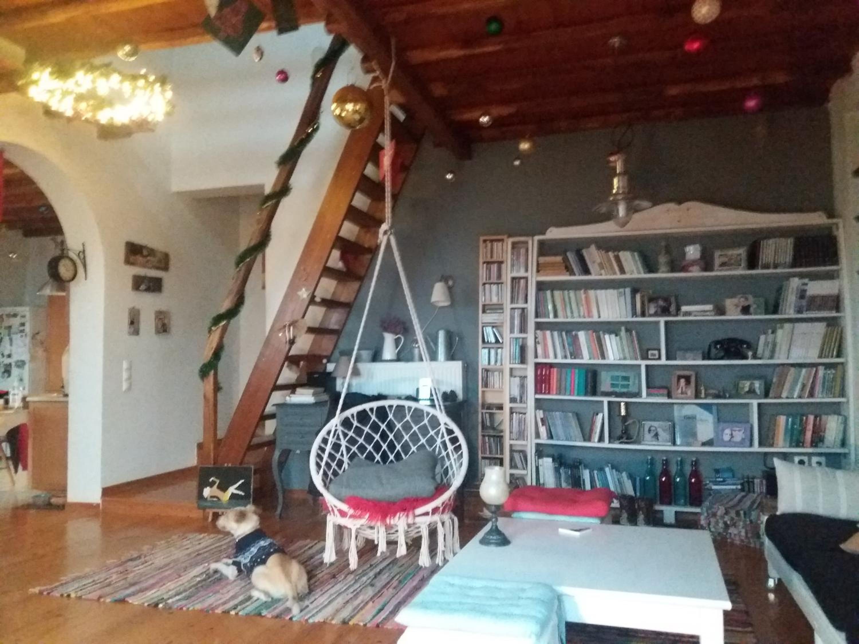 Photo 46