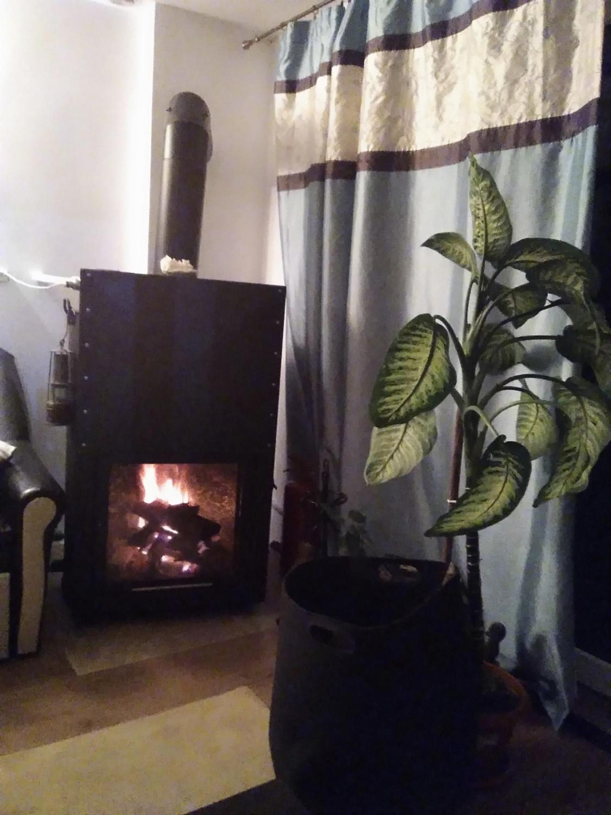 Photo 31