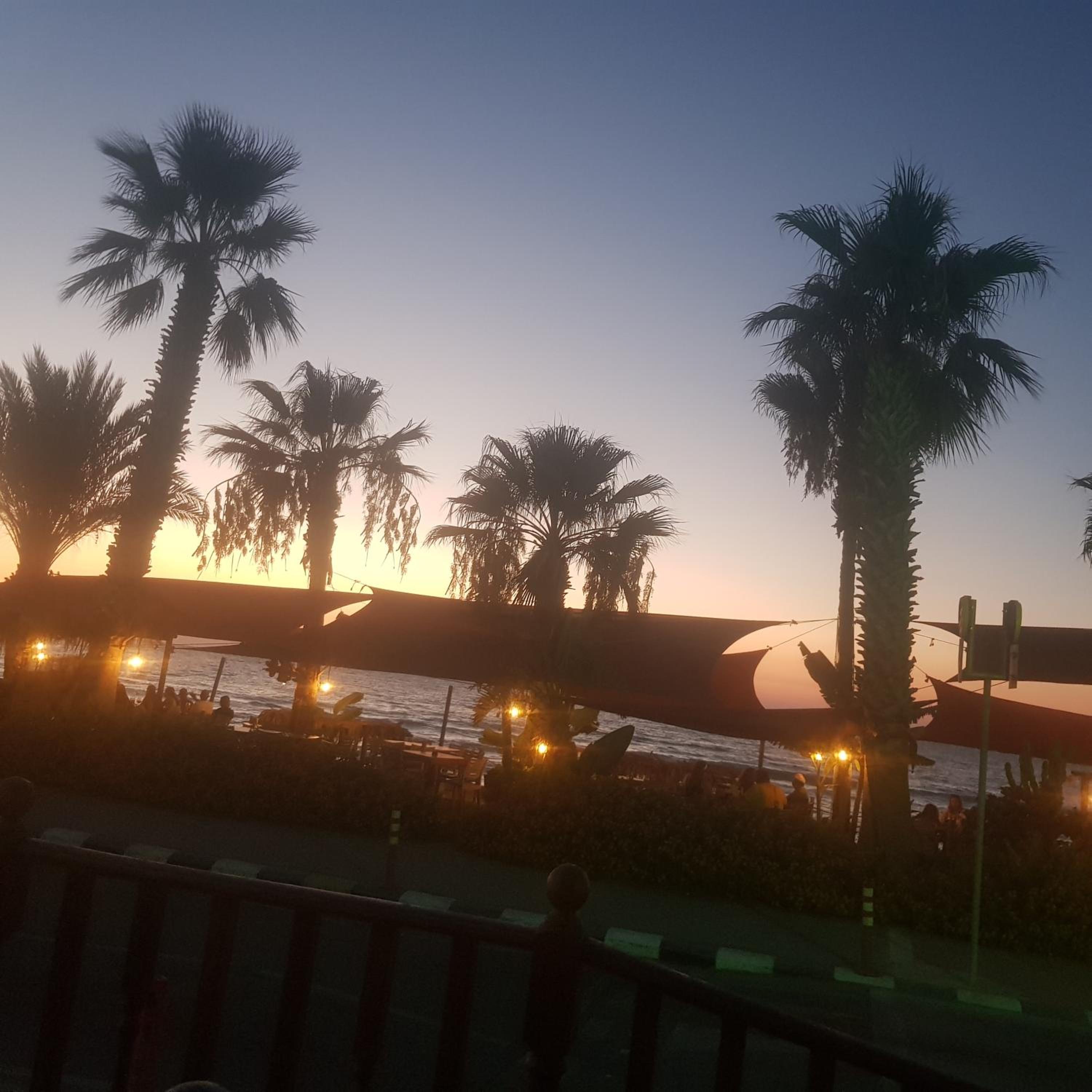 The Summer Haven