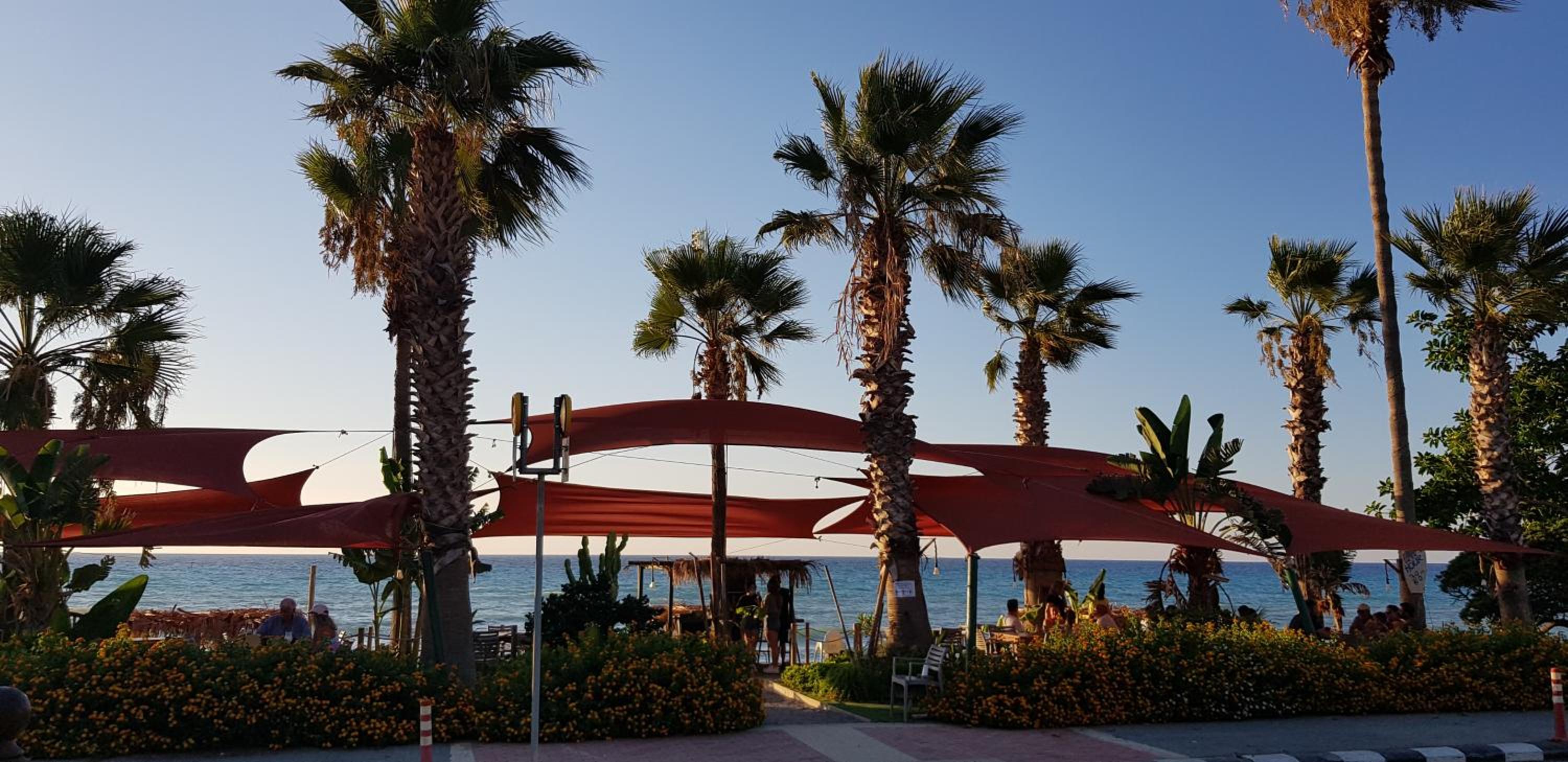 The Summer Haven