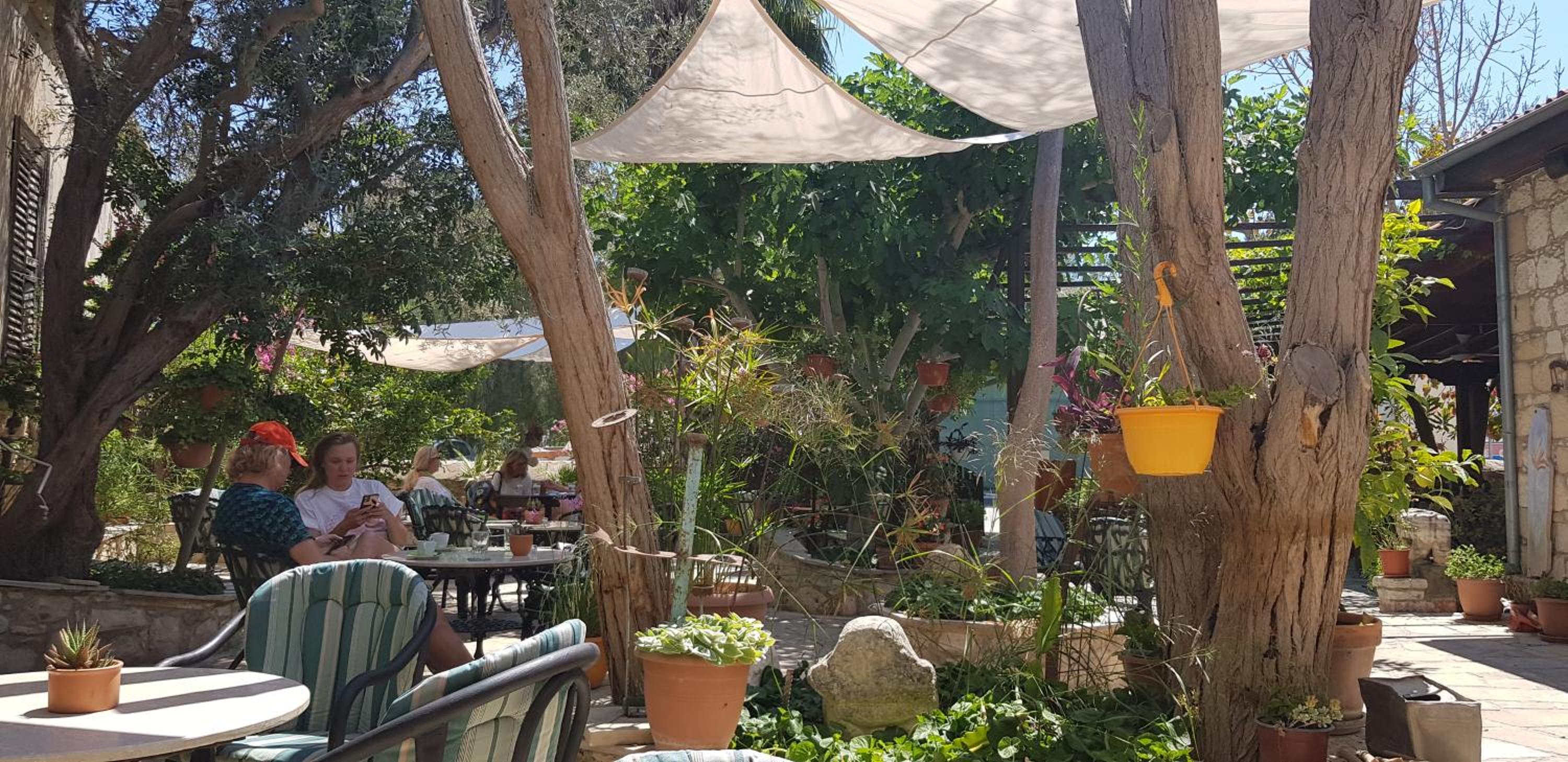 The Summer Haven