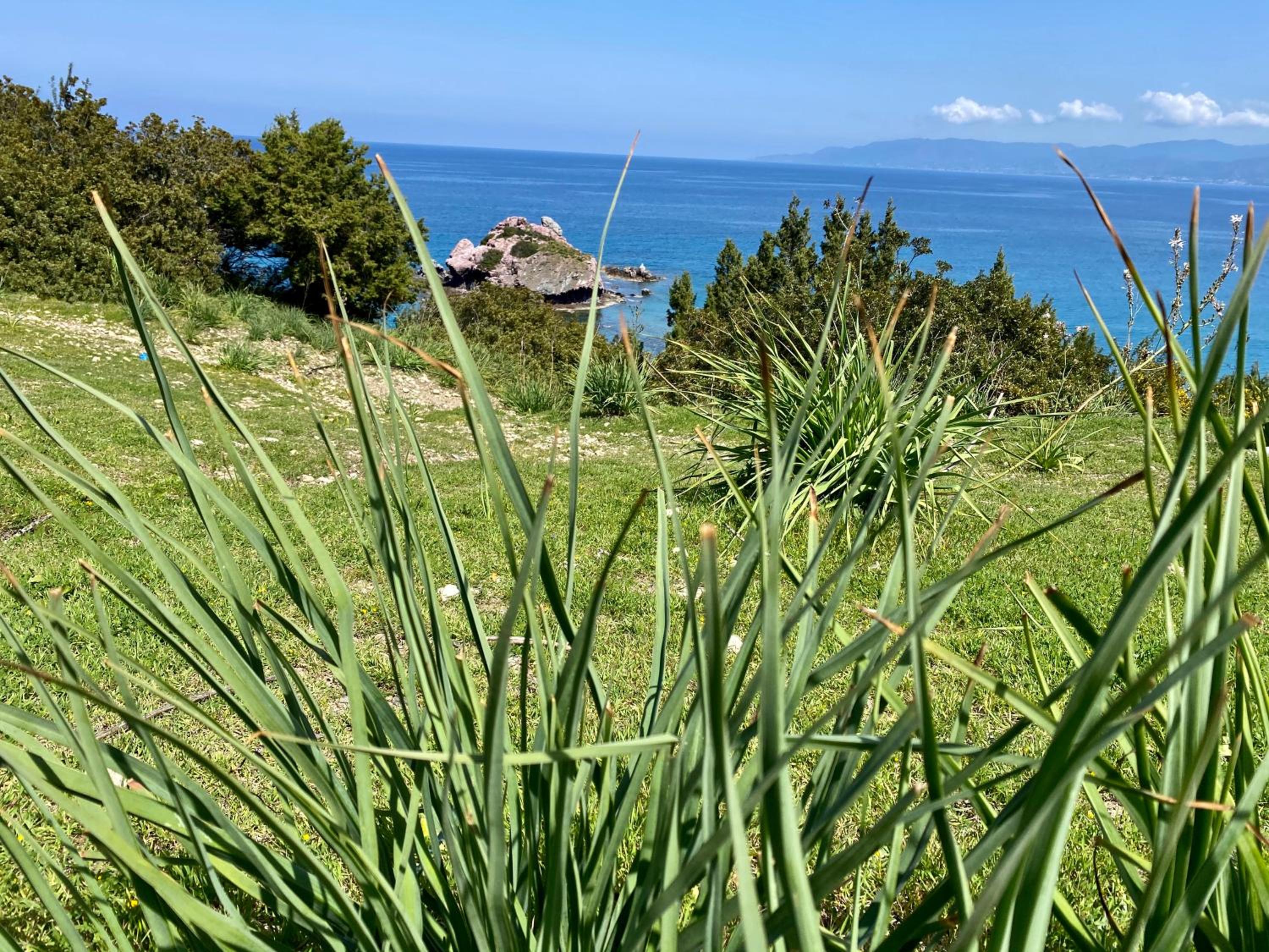 The Summer Haven