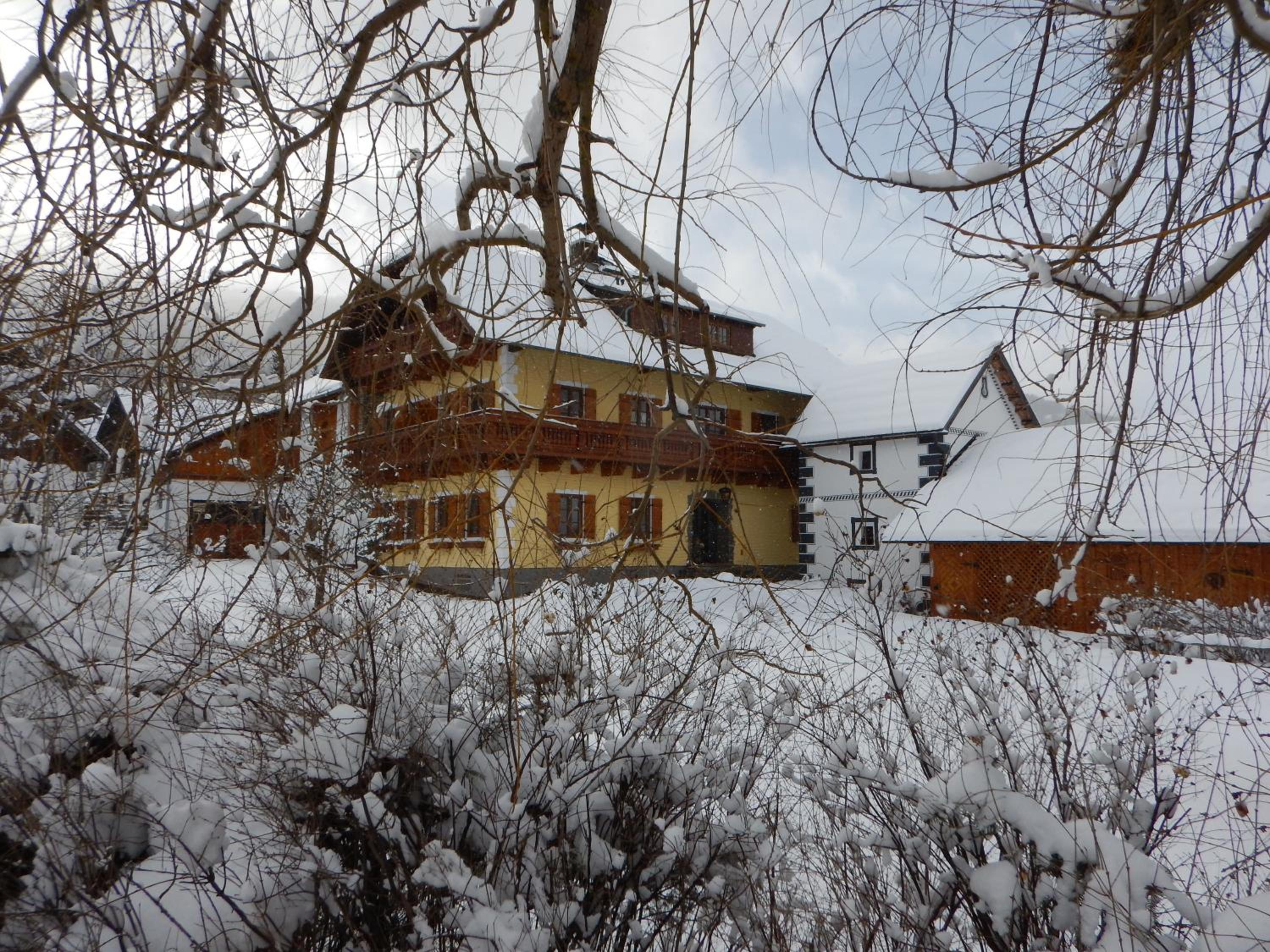 Photo 36