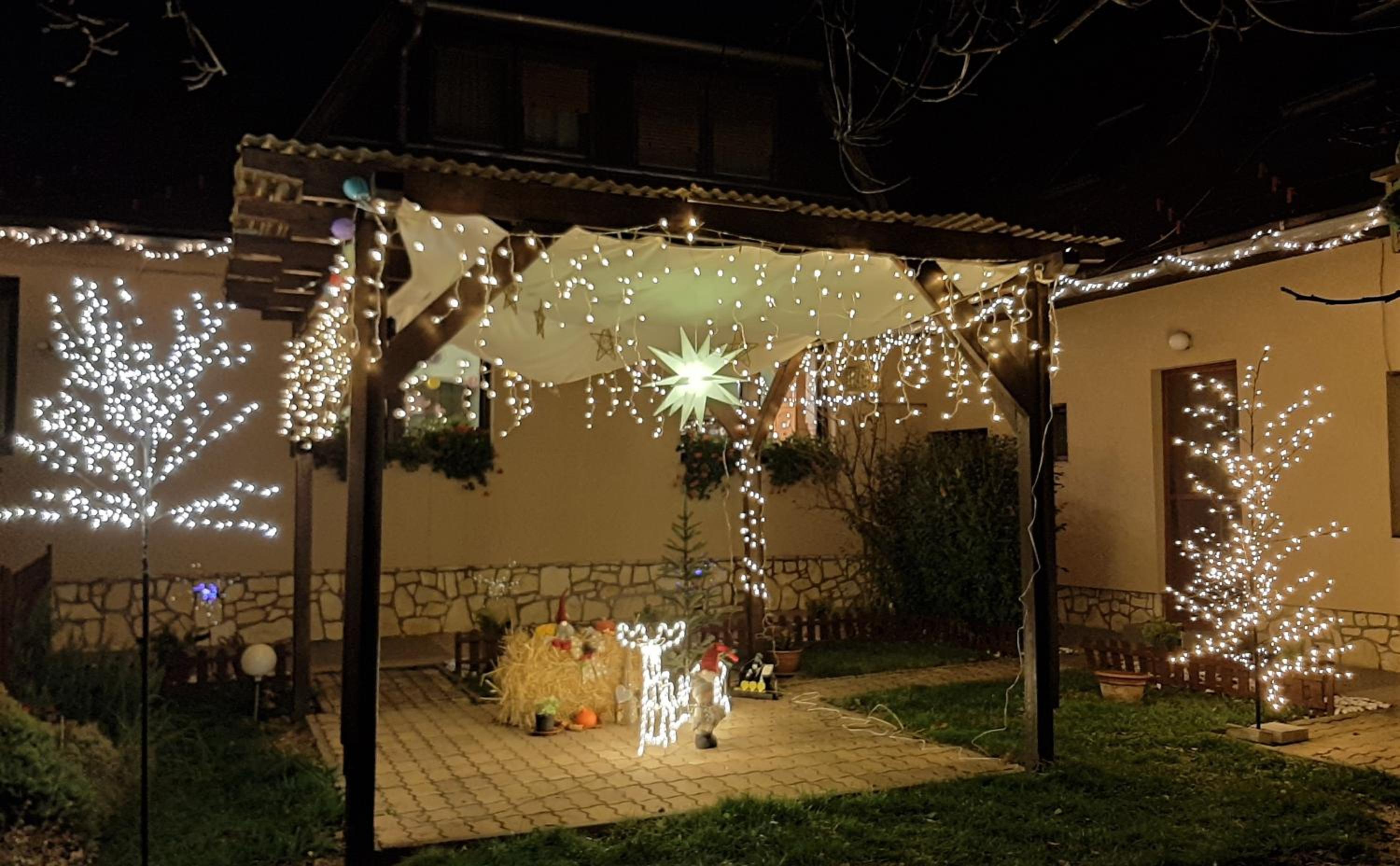 Photo 8