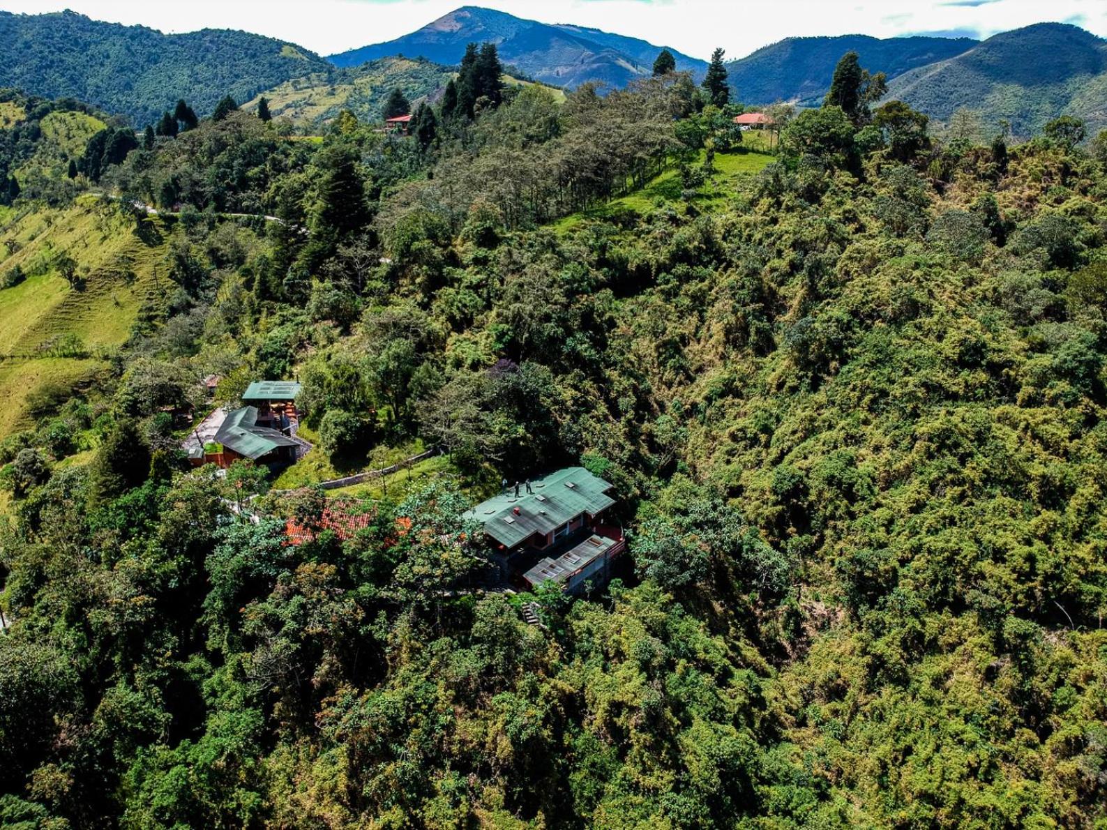Finca Petrona view 4