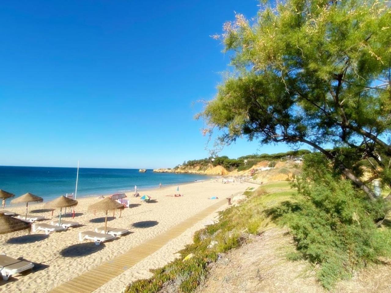 Coral By Albufeira Rental view 4