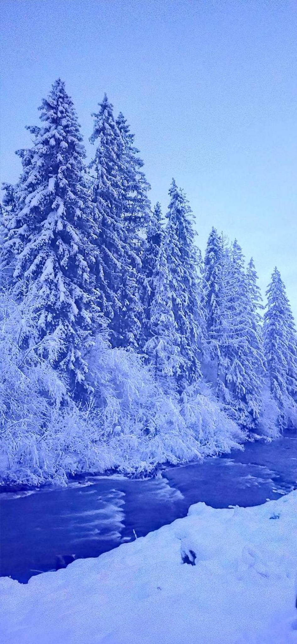 Родинна оселя view 5