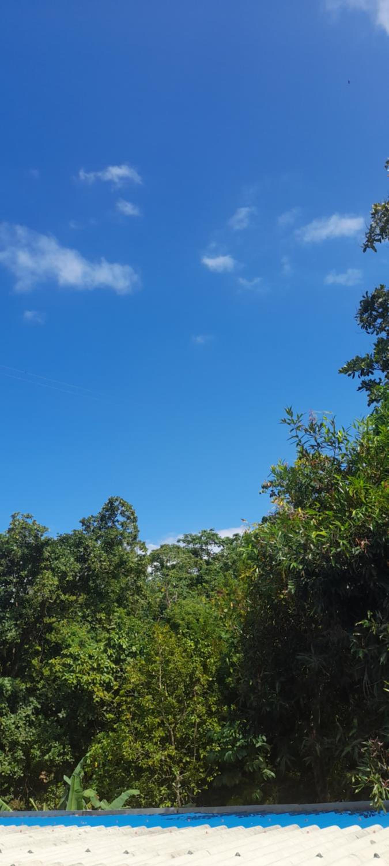 EcoHostal Tierra Prometida