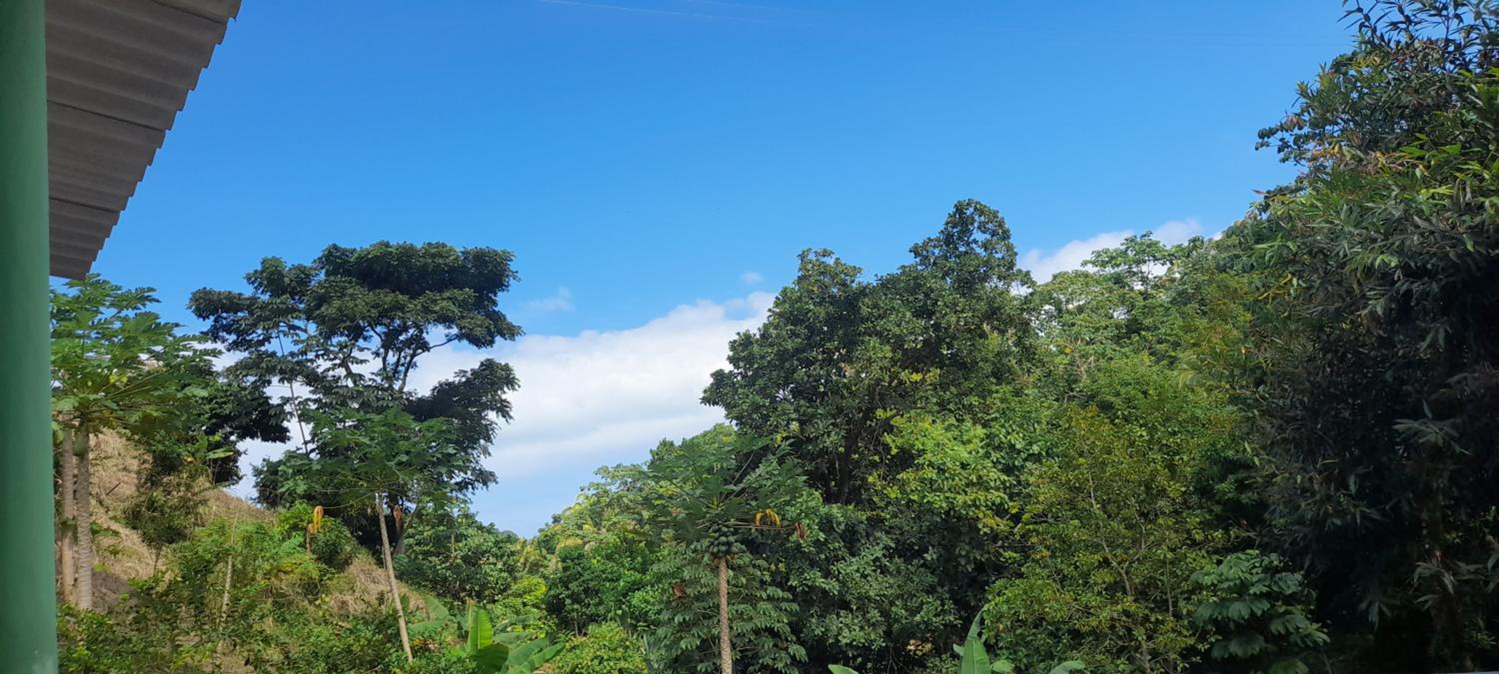 EcoHostal Tierra Prometida
