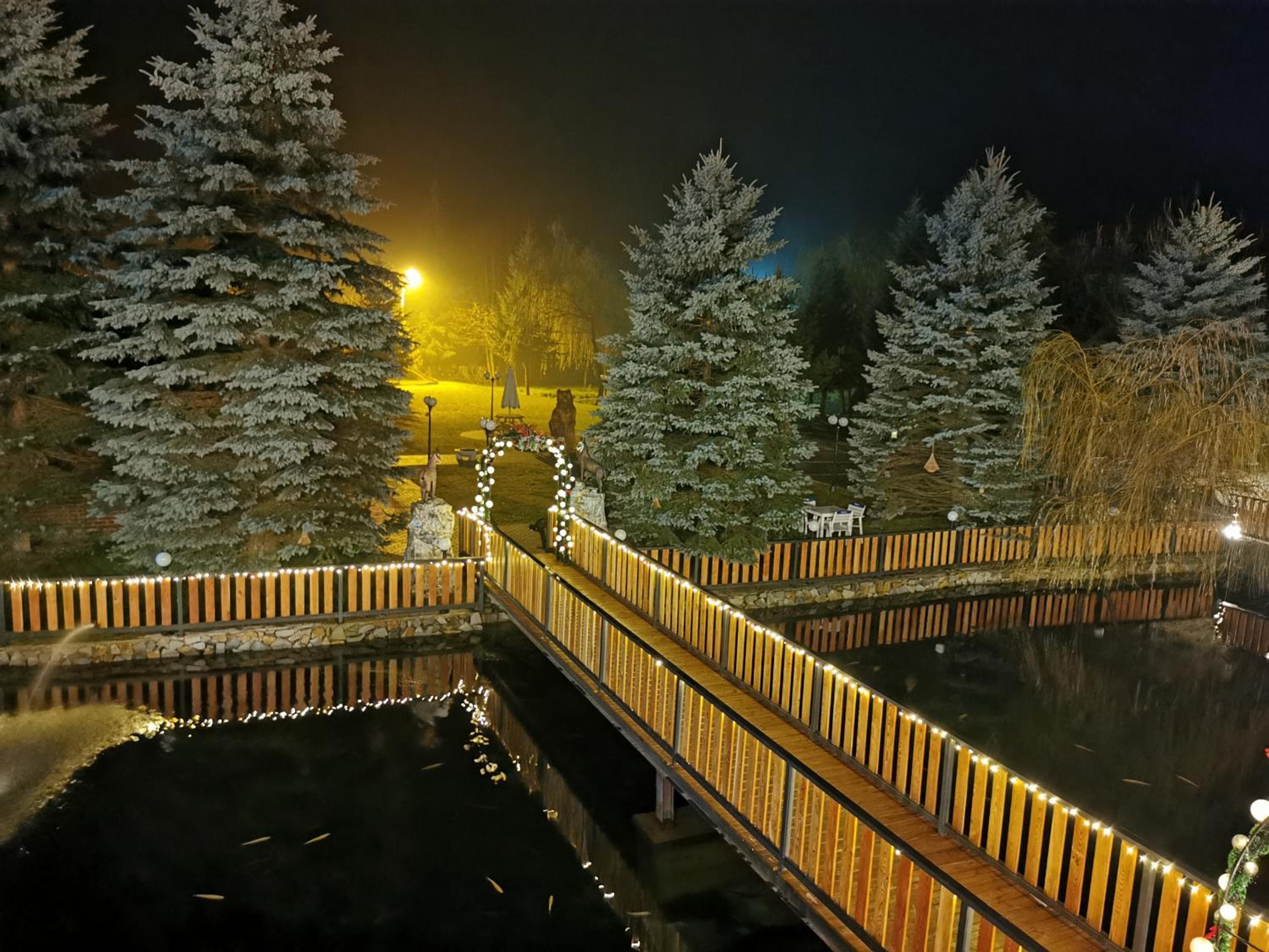 Photo 47