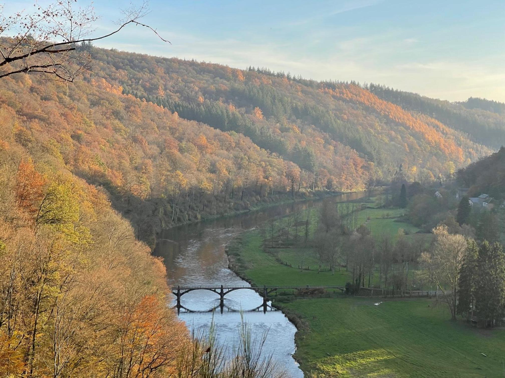 Charme à Bouillon
