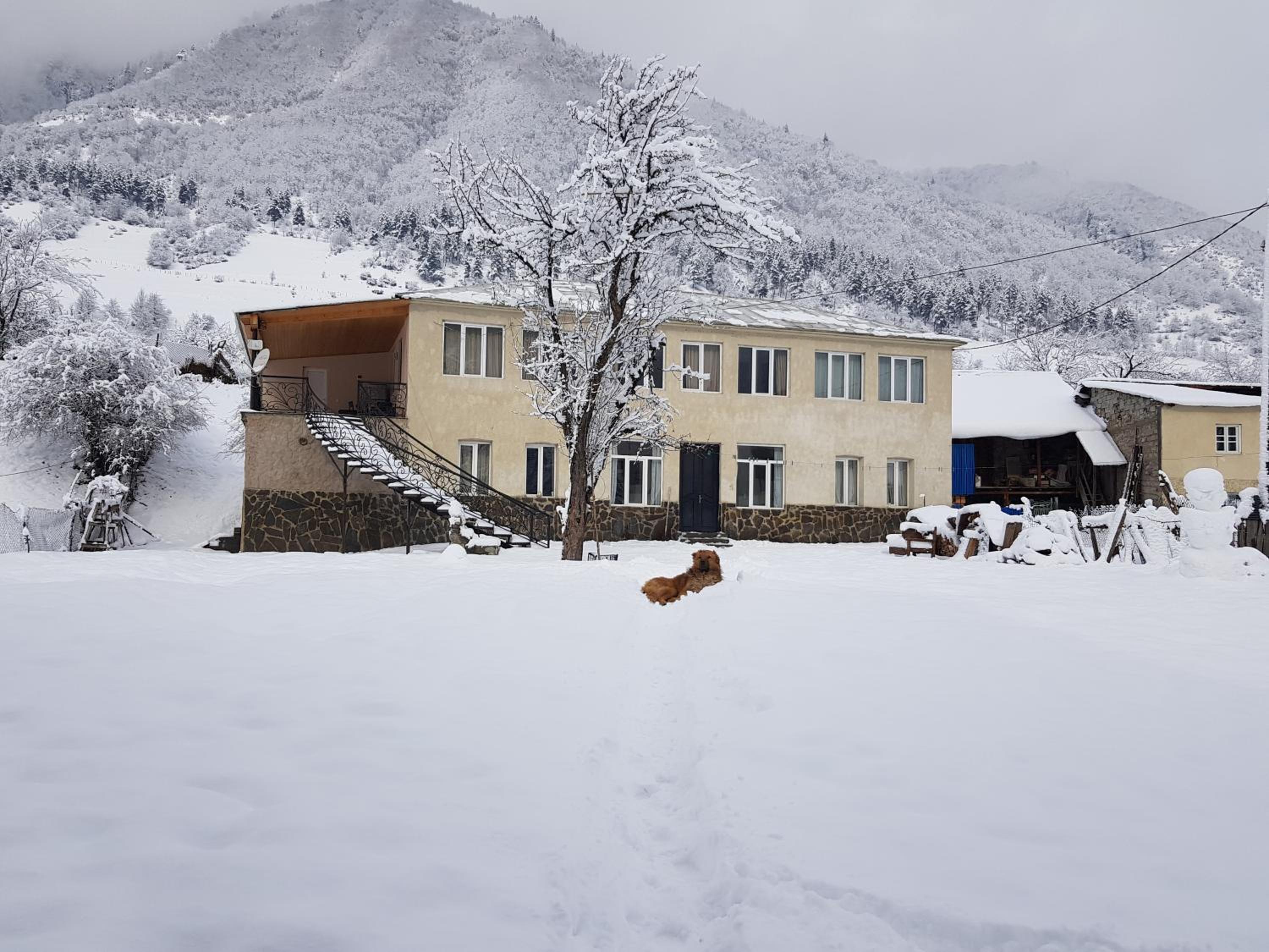 Babale's guesthouse in Mestia view 2
