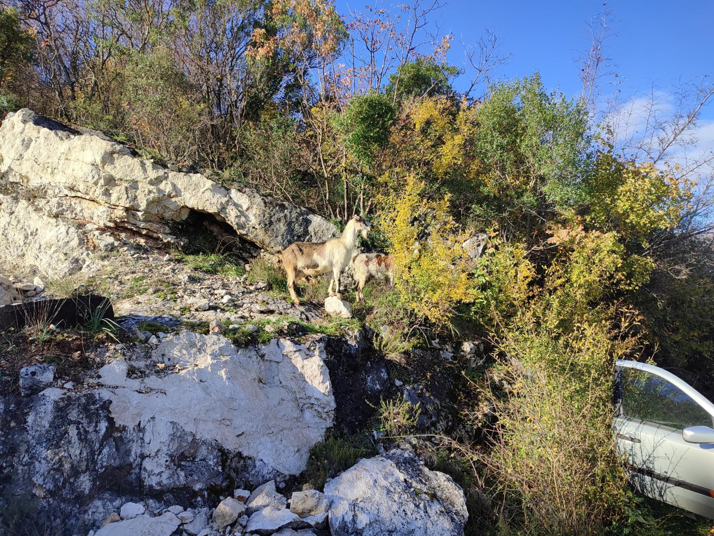 Photo 47
