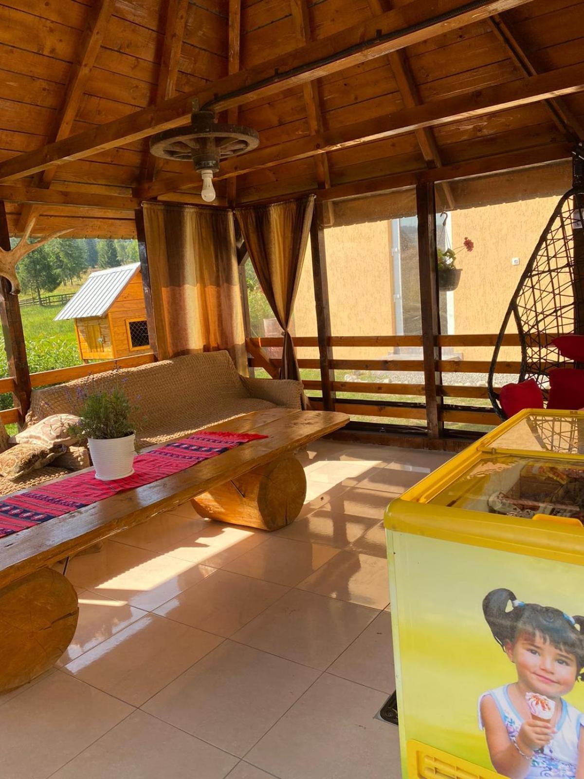 Casa Raluca view 4