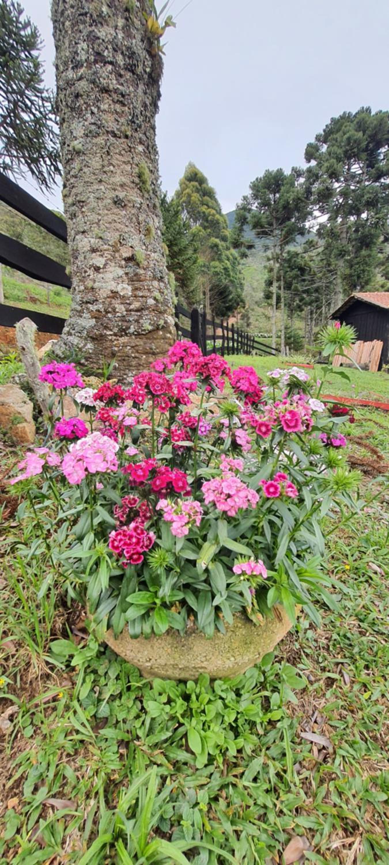 Pousada do Morro Verde