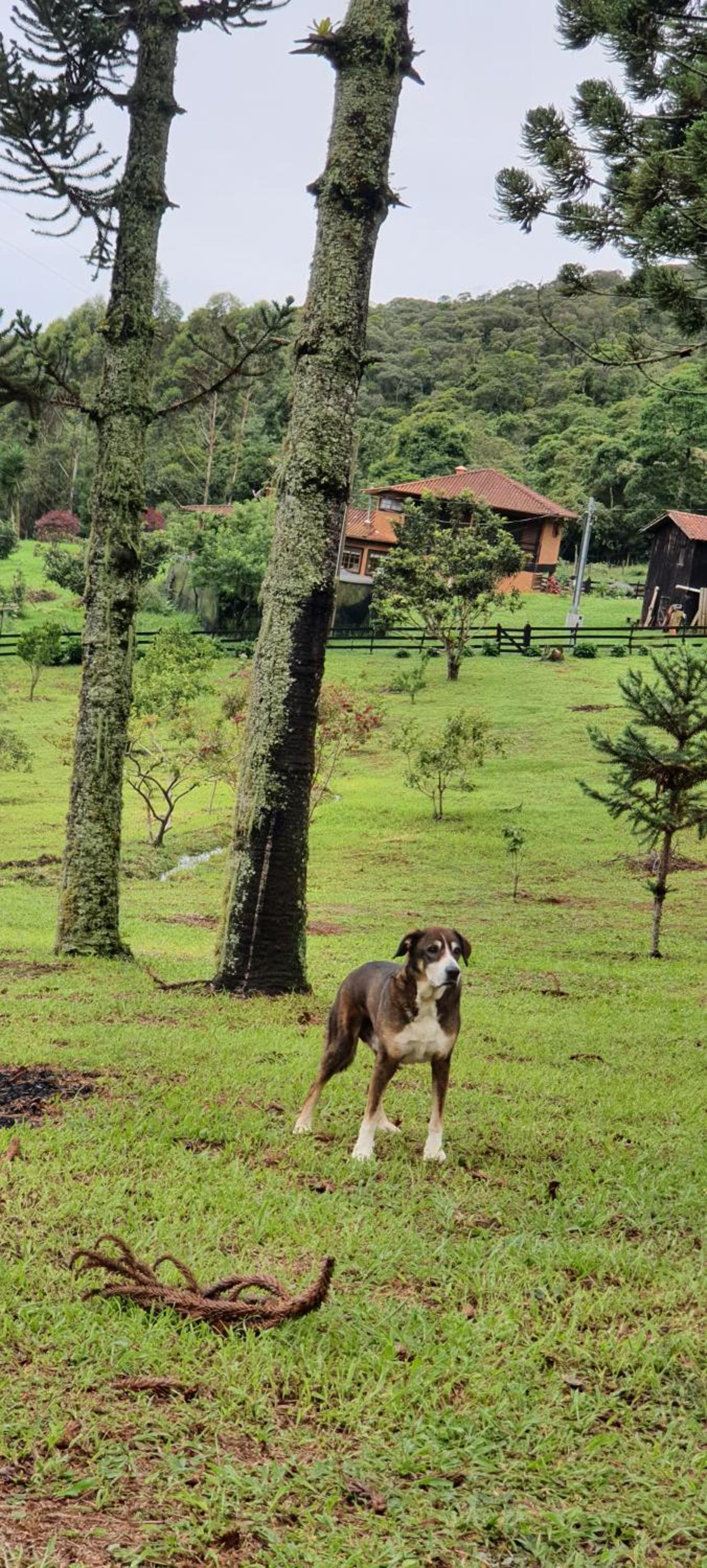 Pousada do Morro Verde