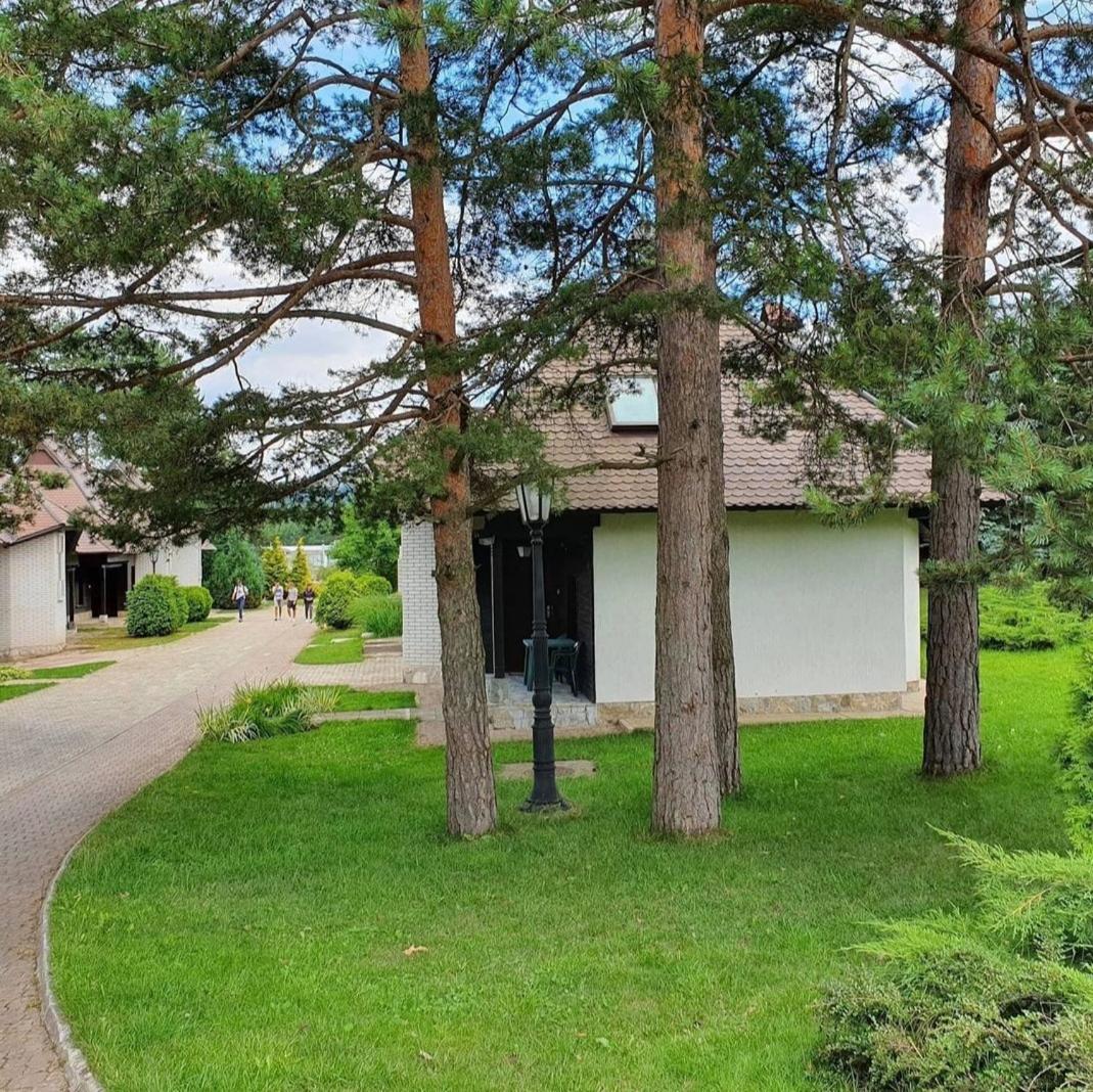 Kraljevi Konaci Olja
