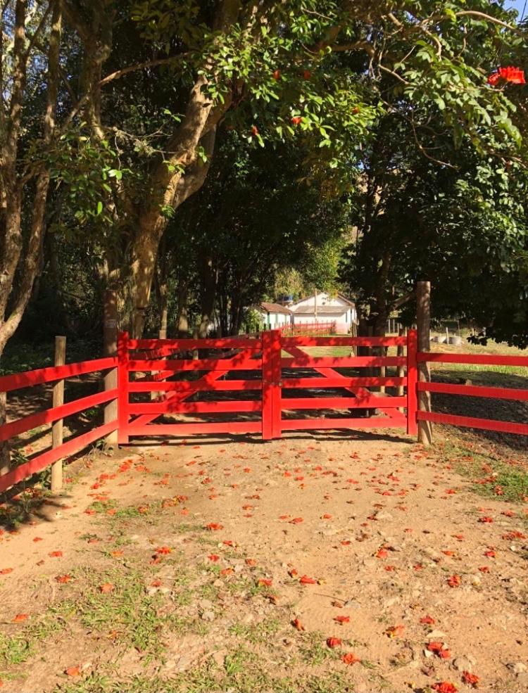 Vivenda dos Guaranys -Um projeto ecológico - Casa