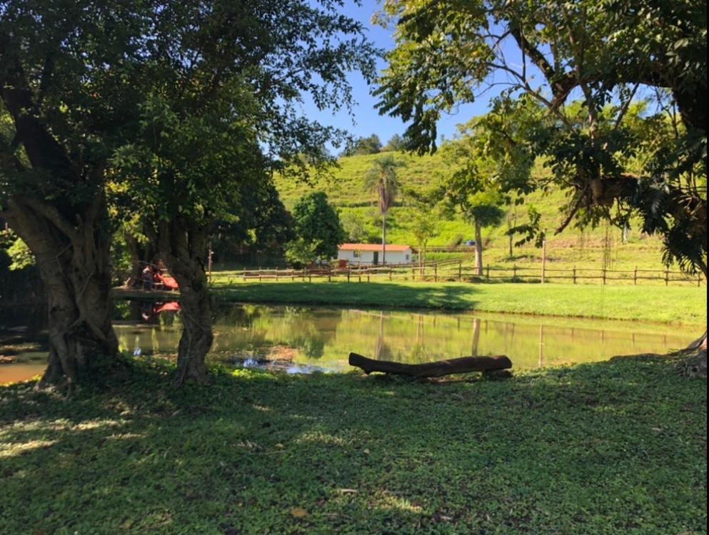 Vivenda dos Guaranys -Um projeto ecológico - Casa