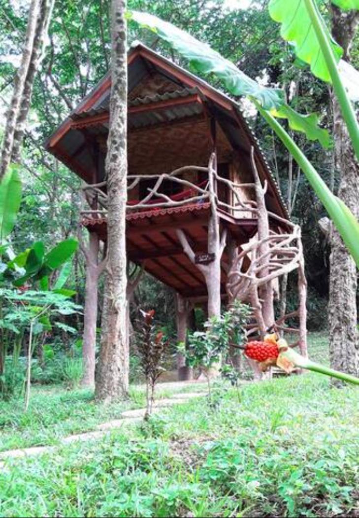 Hotel Treehouse Holidays-Love Nest - Image 1
